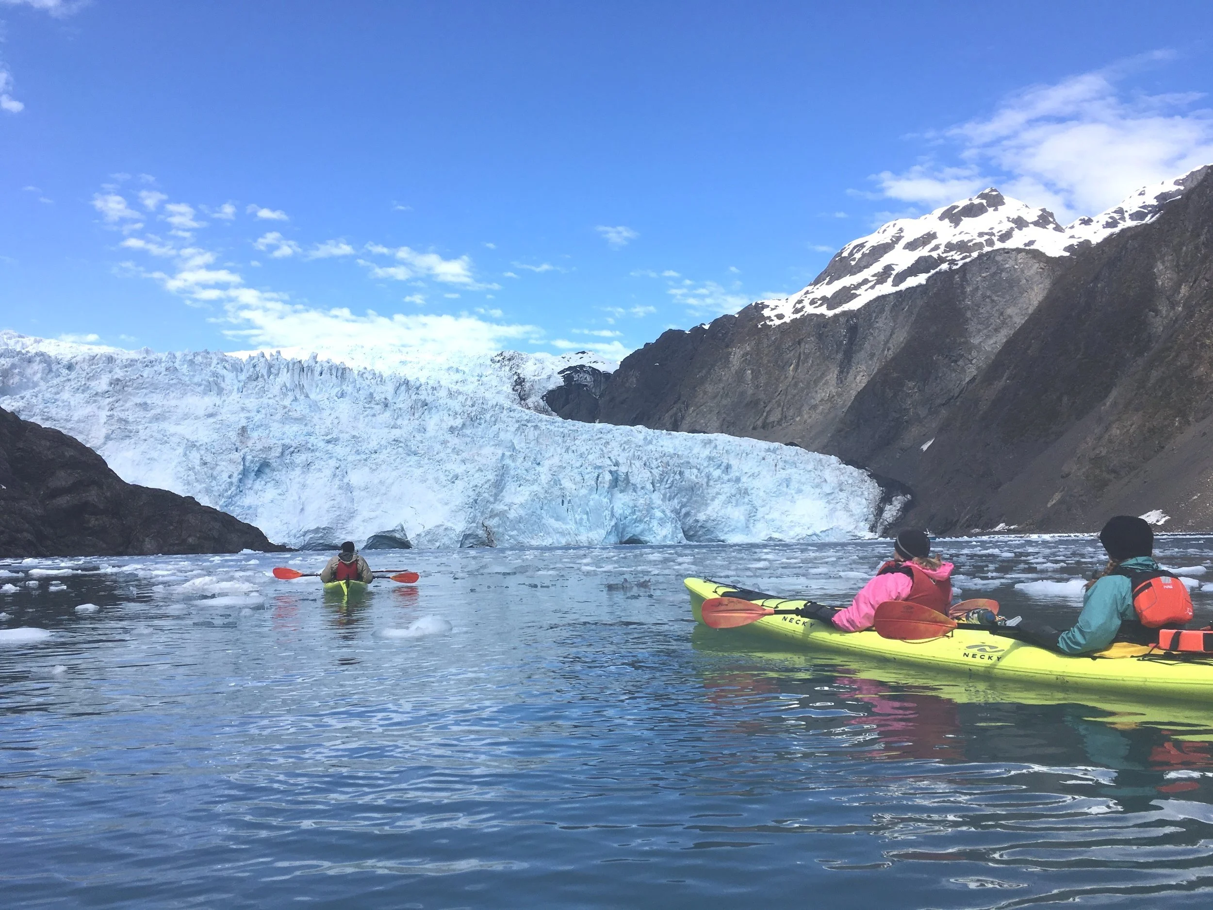 Fox Island Tours Sunny Cove Kayaking, Hiking, Wildlife & Glacier