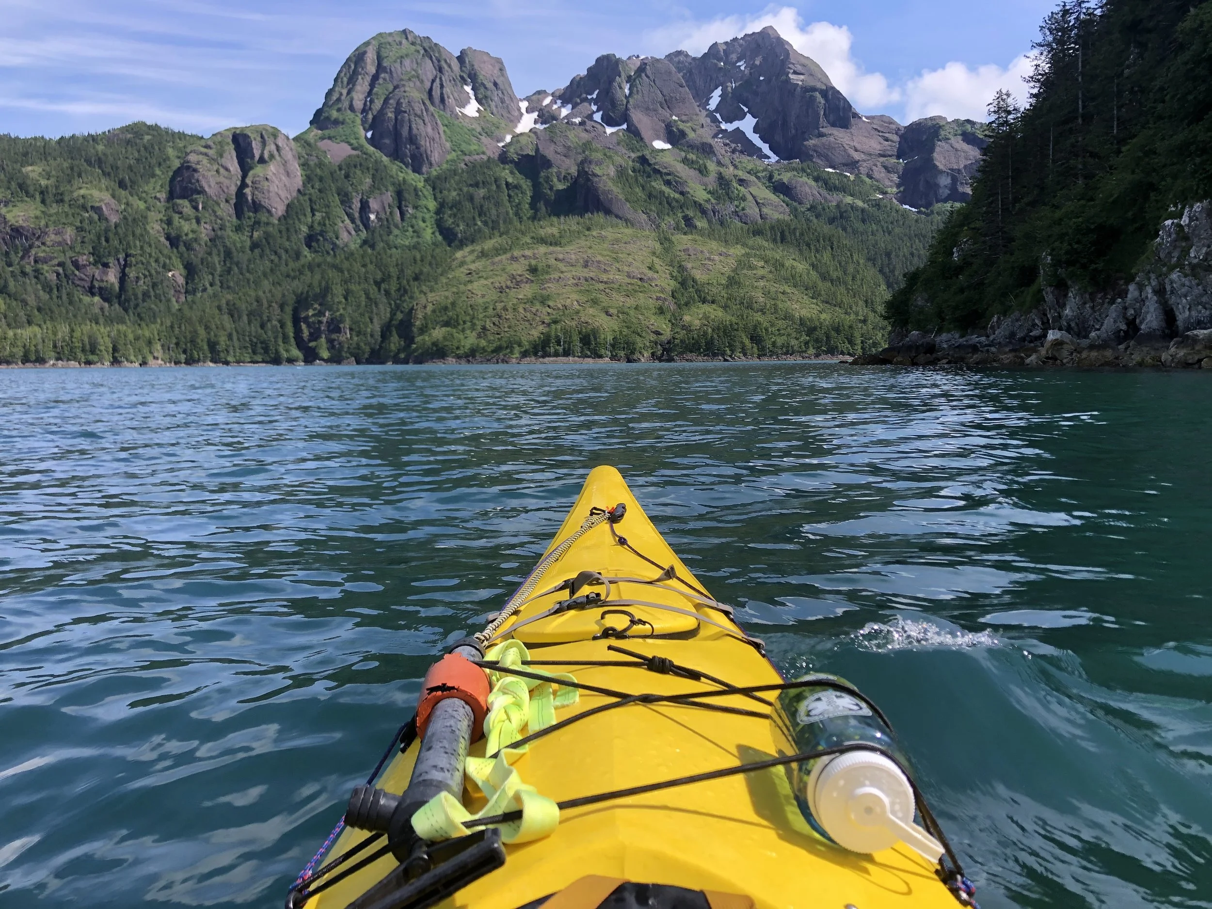 Fox Island Tours Sunny Cove Kayaking, Hiking, Wildlife & Glacier