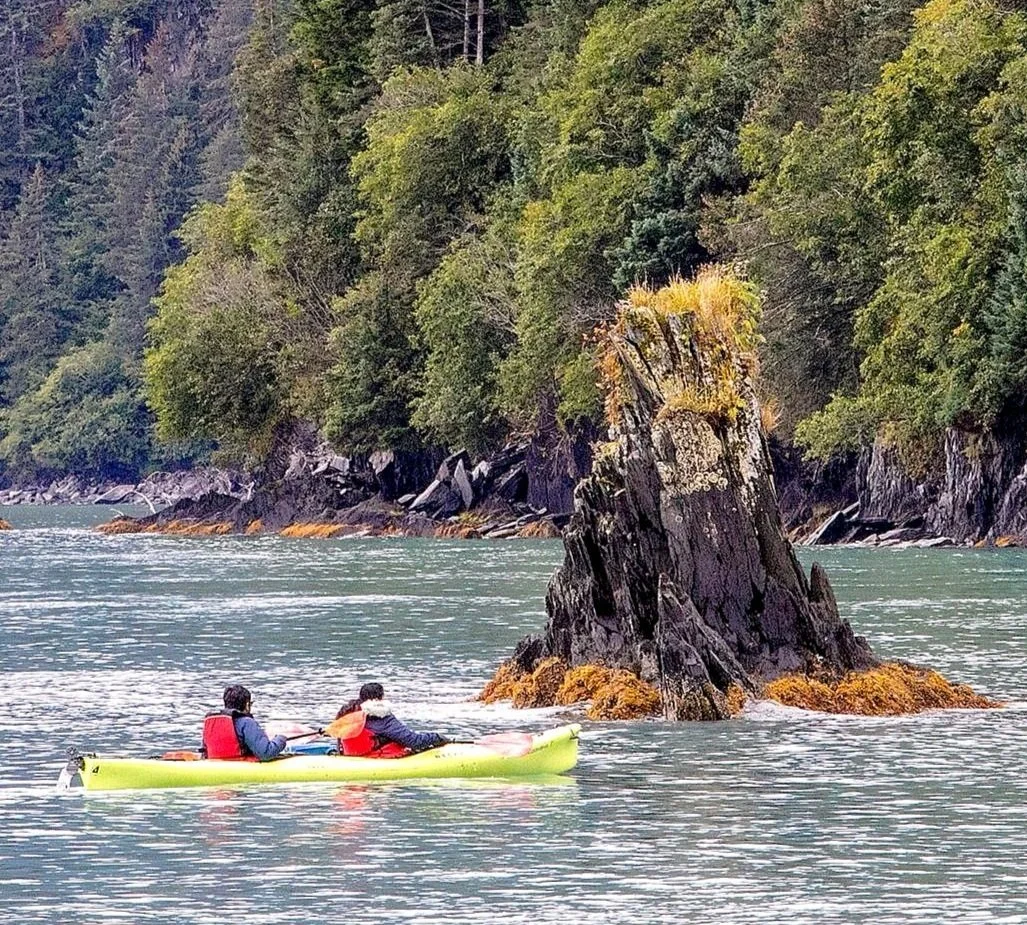 Resurrection Bay Half-Day Tour