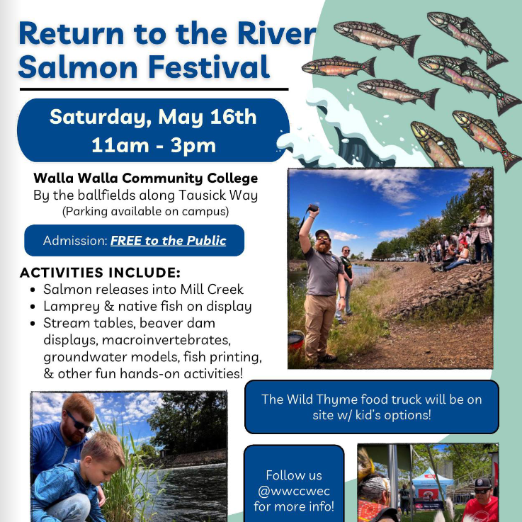 Return to the River Salmon Festival