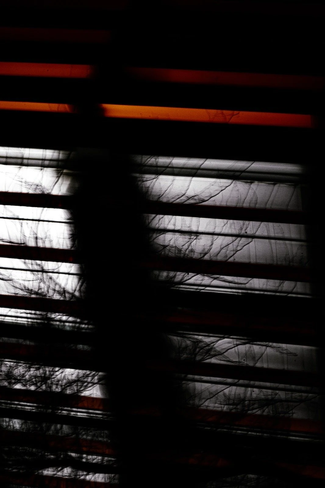052b82be-e074-406d-bfa4-ee07f5756a6d.png