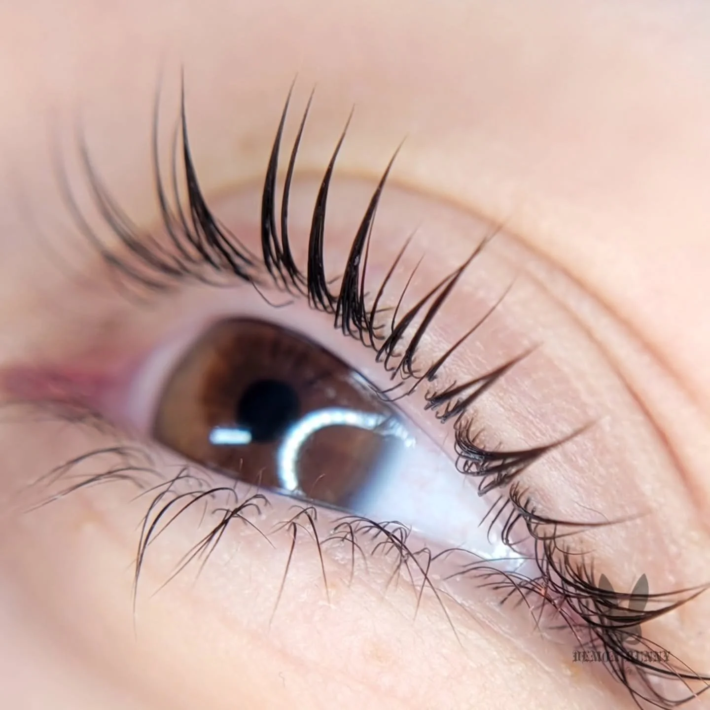 𝖐-𝖕𝖔𝖕 𝖑𝖆𝖘𝖍 𝖑𝖎𝖋𝖙 🎀

If your lashes grow downward and make you feel like you don't have lashes, you should try out a lash lift!! You might find out you have long lashes just like my amazing client here 🤭
My k-pop lash lift uses Korean and