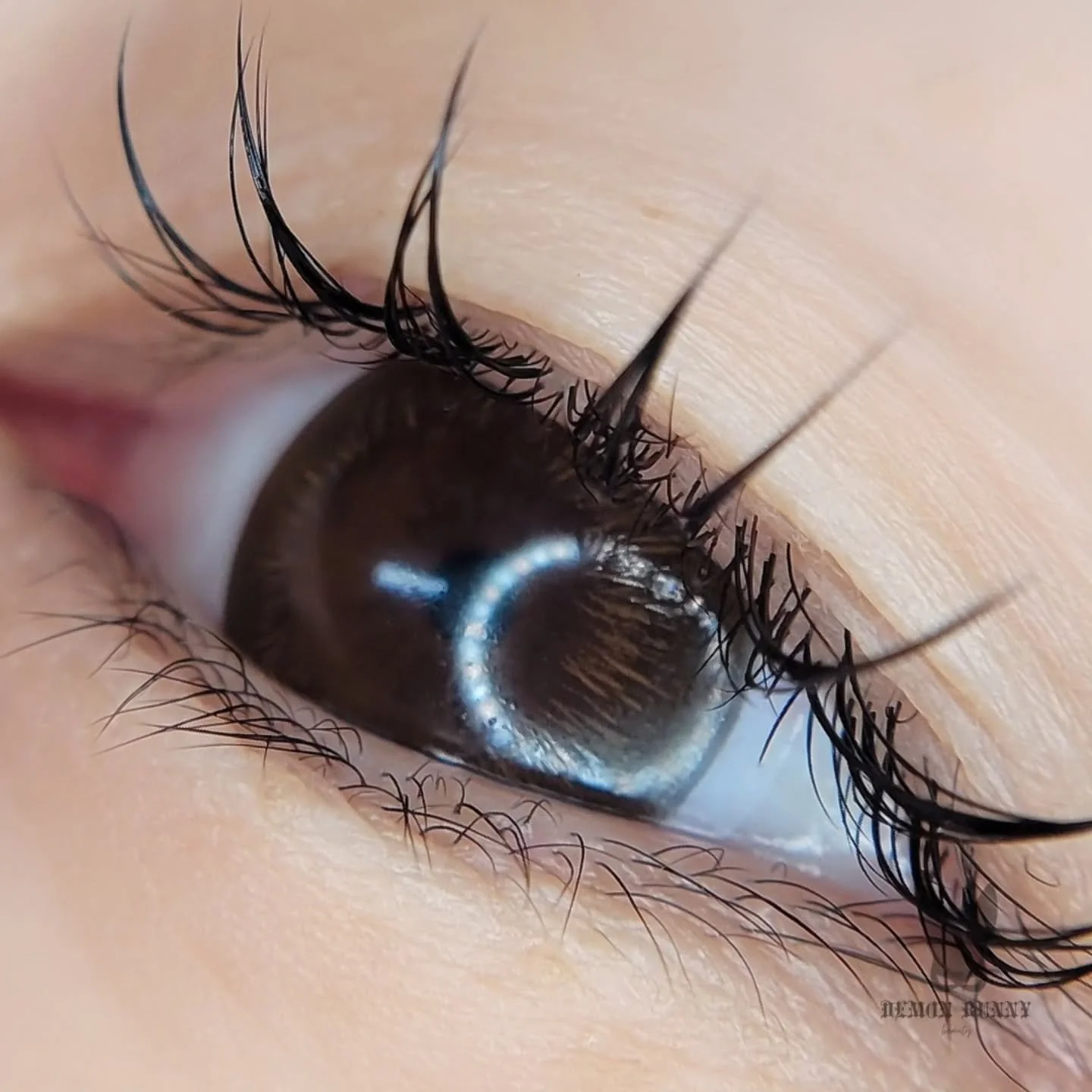 𝖕𝖊𝖗𝖒 𝖕𝖔𝖎𝖓𝖙

Perm point is a lash lift and lash extensions! Perfect for those who want a super natural lash look with added length. There is about a half coverage of extensions and as the lashes shed you will still have your natural lashes li