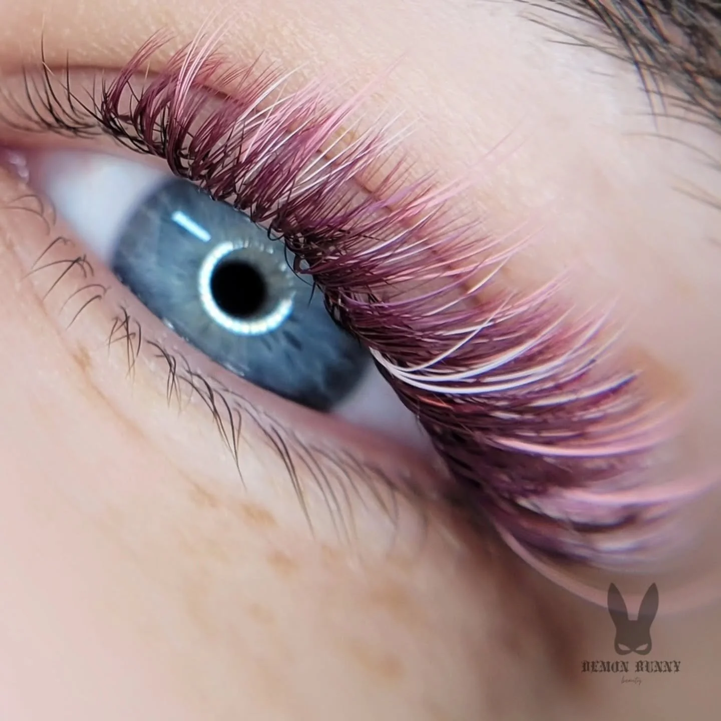 𝖈𝖔𝖑𝖔𝖗 𝖈𝖗𝖊𝖆𝖙𝖎𝖛𝖊 𝖘𝖊𝖙
🍒🎀🌸💗🍨

I love the colors for this lash set. I'm really liking the dark wine/plum colored lashes lately!
Used @thelashritual dahlia, bubble &amp; gum ball &amp; @amethystlashsupply baby pink tinsel 💕

I need mo