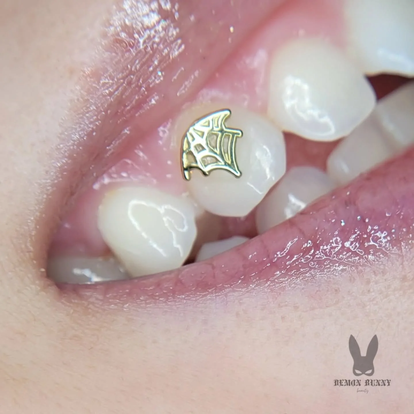 ꜱᴏʟɪᴅ 18ᴋ 🕸🦷

I was always a huge tooth gem fan! But I always wanted to be sure I was getting quality gems. Then I had thought, why not learn myself?? So, in 2023, I took the training. I understand the importance of quality supplies and techniques.