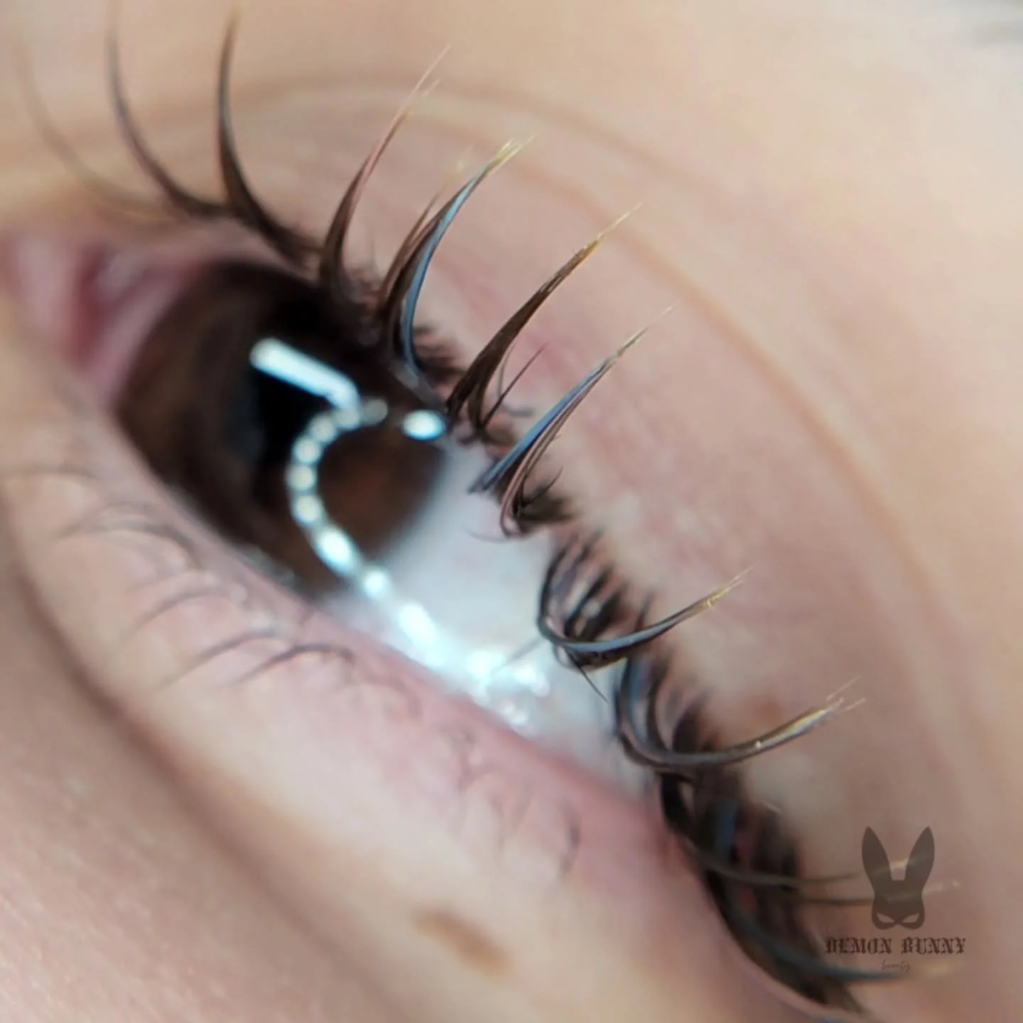 𝓟𝓪𝓻𝓪𝓟𝓪𝓻𝓪 𝓛𝓪𝓼𝓱 𝓢𝓮𝓽 + 𝓛𝓲𝓯𝓽

🤎🩵🩷
Brown base with light blue &amp; pink sprinkles of color throughout! Benefits of getting a lash lift with this set (perm point) your natural lashes blended seamlessly with the extensions!

📍Lincoln