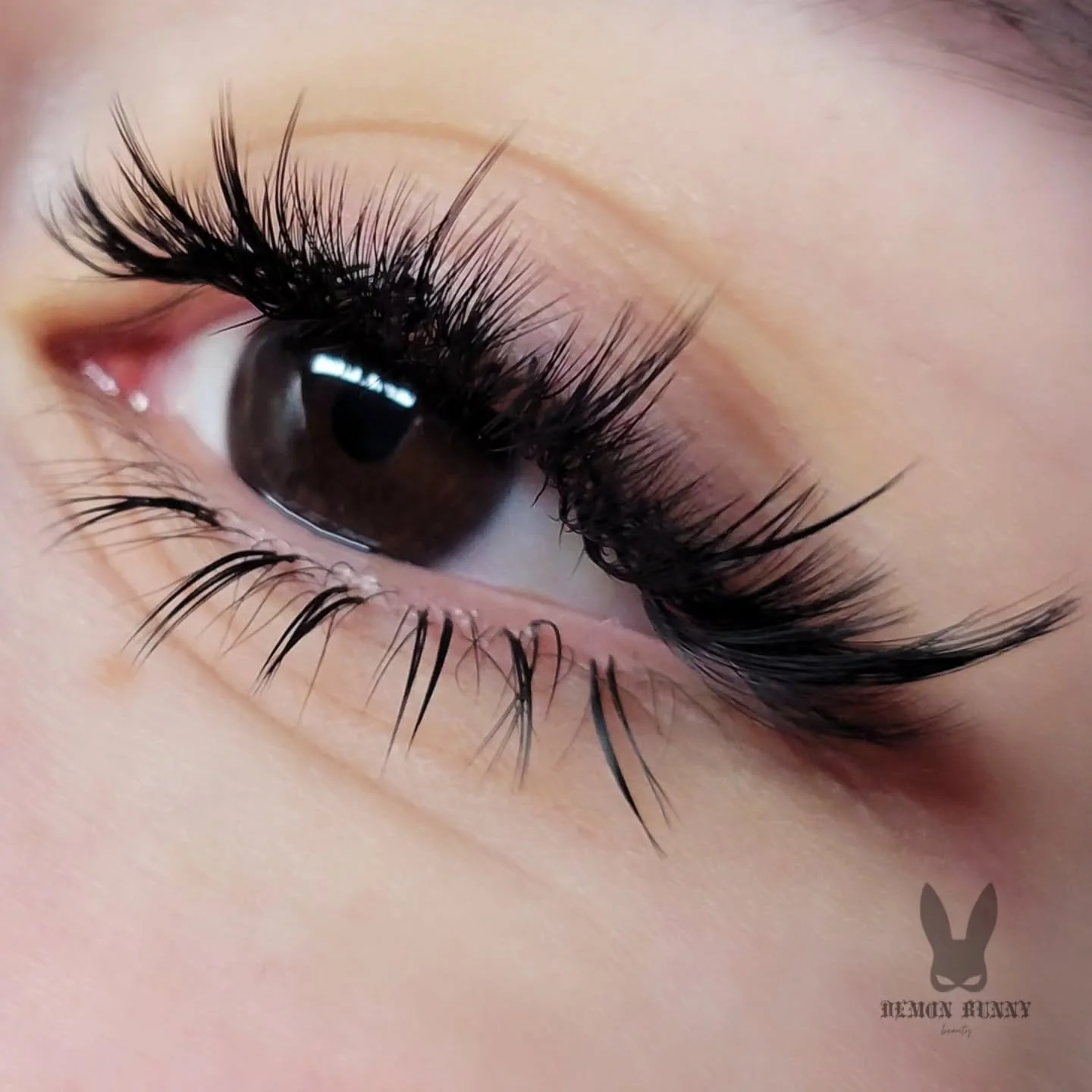 Random posts with lash content in it! We're halfway into 2026, and it's definitely been a crazy first half (I think we can all agree with everything going on) . I sometimes think that having my own business, I get caught up in stuff and end up workin