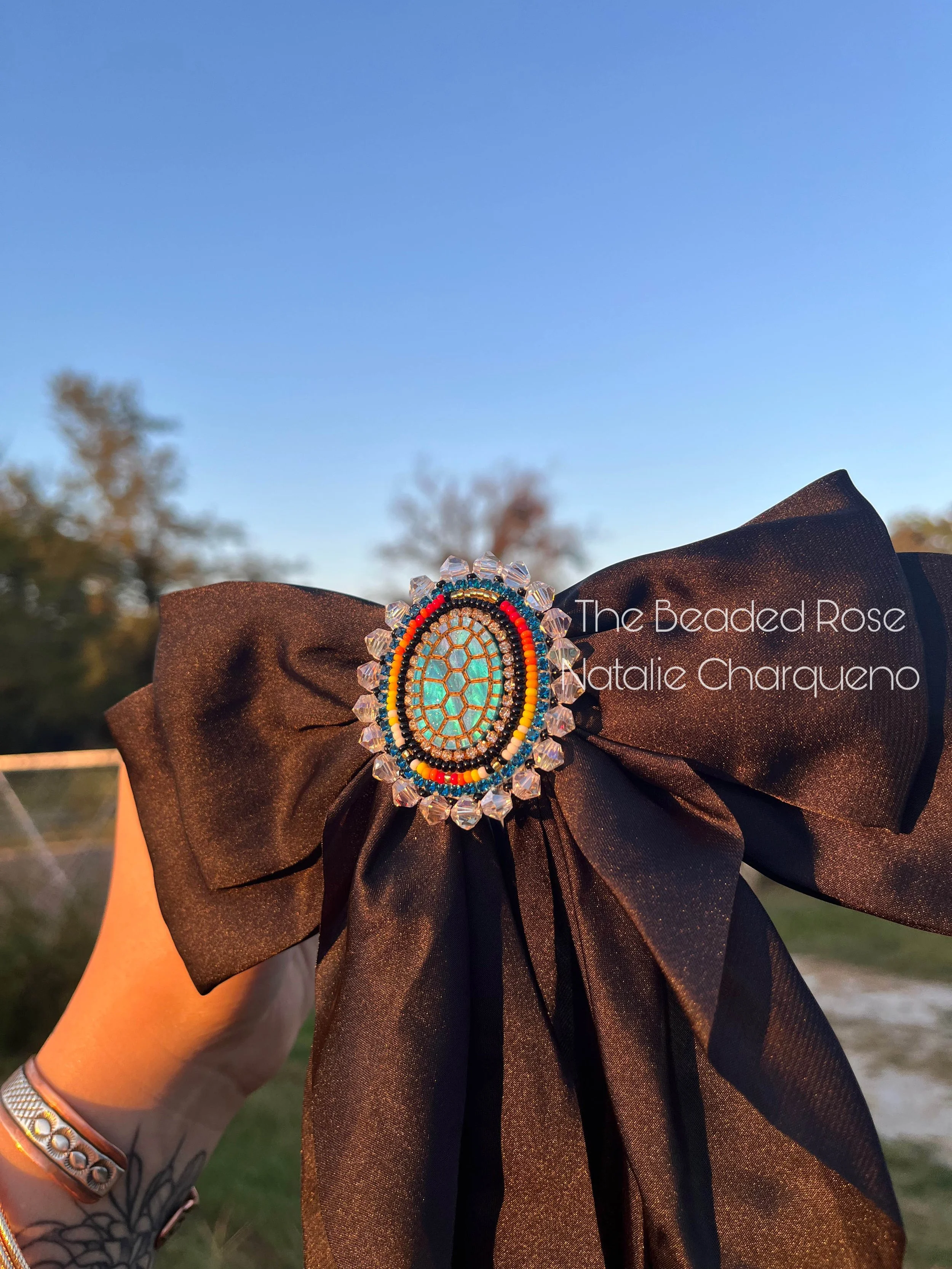 blue shell turtle and fire bow.jpg