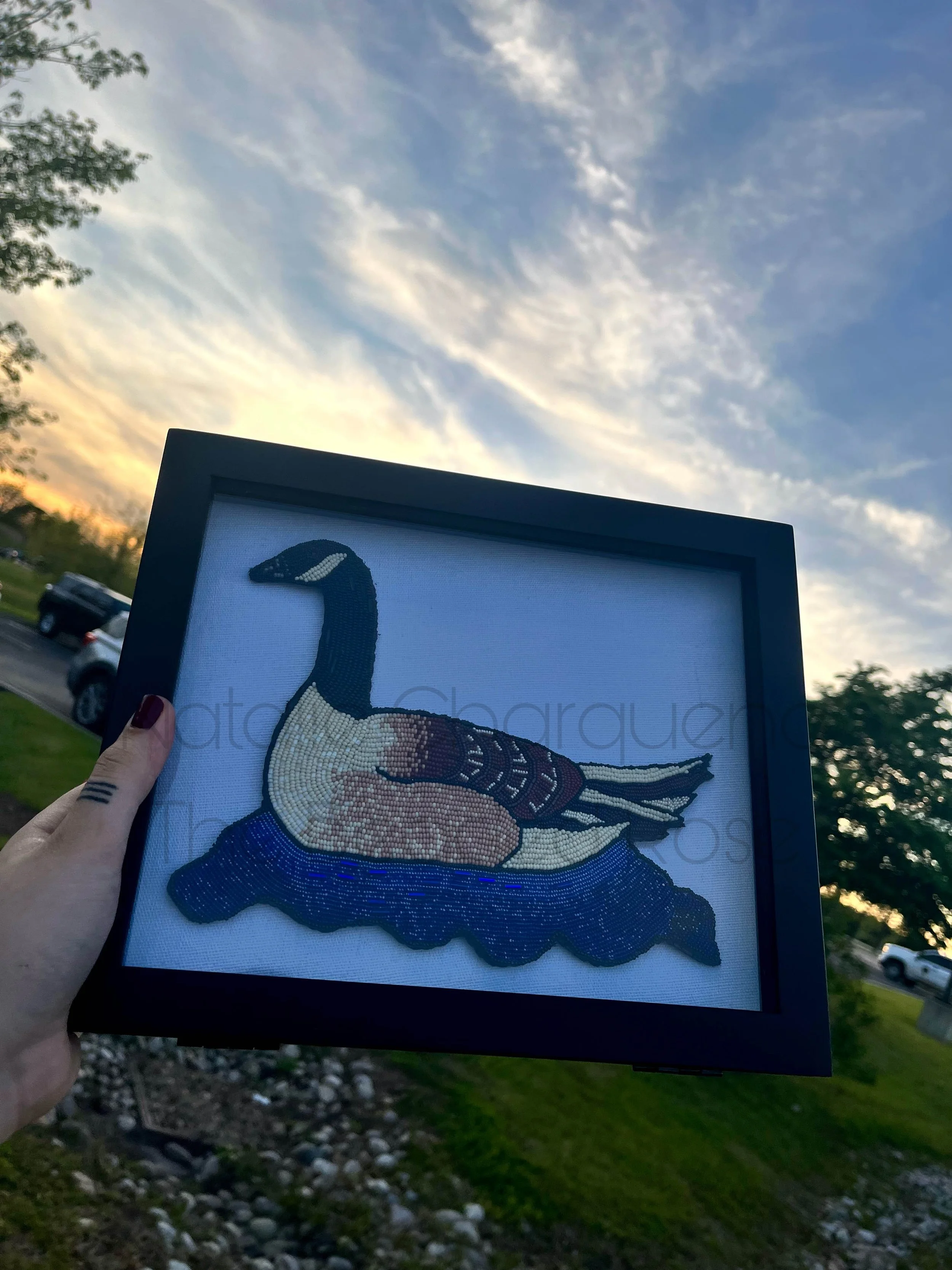 goose.jpg