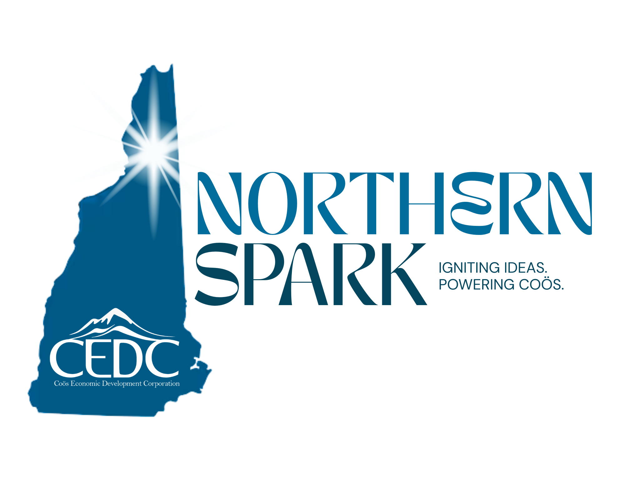 Northern Spark: Pitch Competition