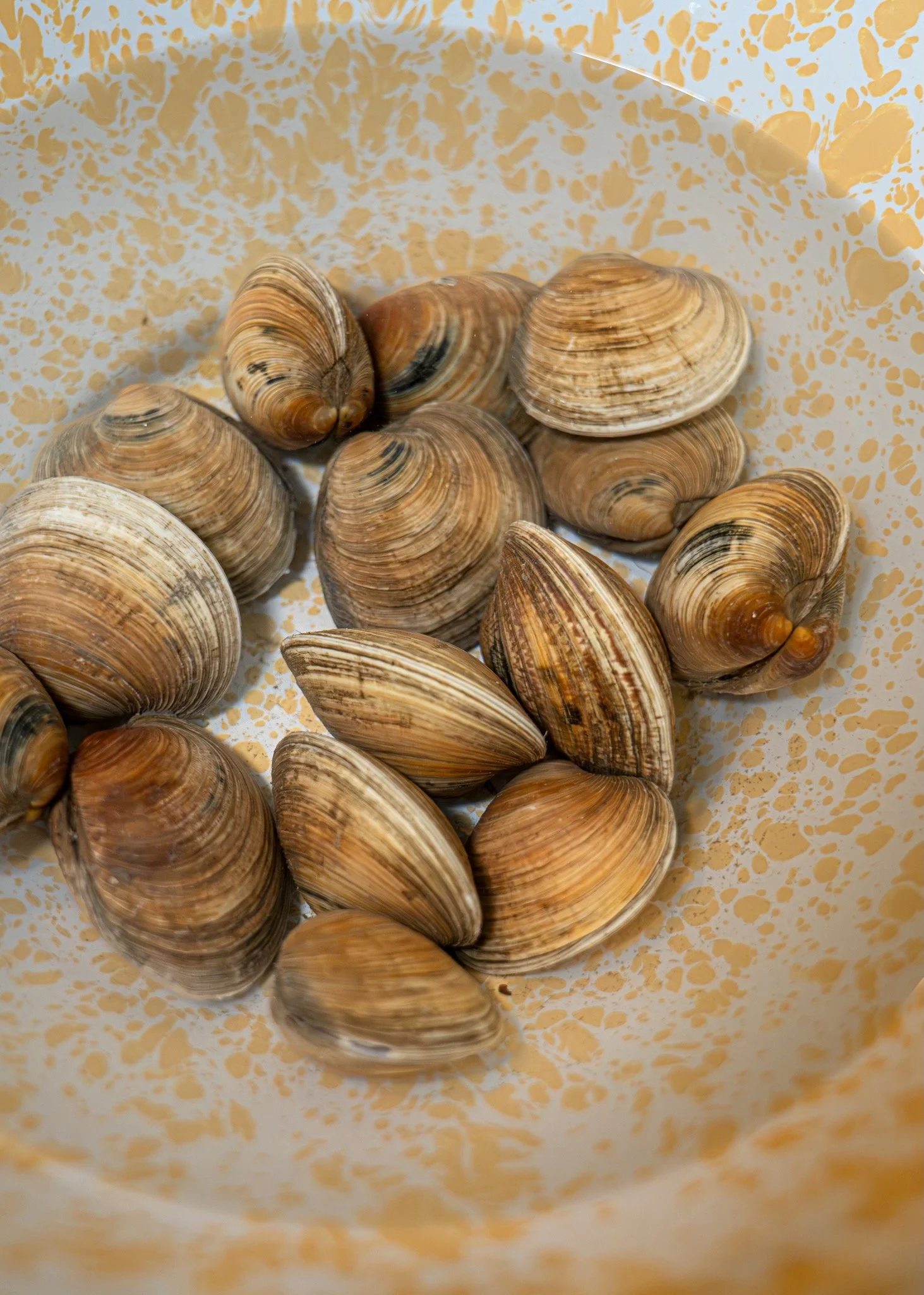 linguini-clams-7.jpeg