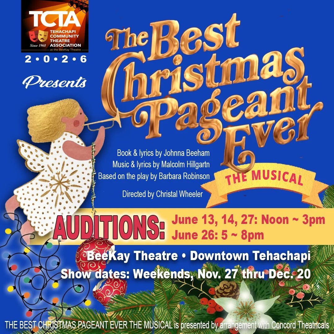 The Best Christmas Pageant Ever Auditions
