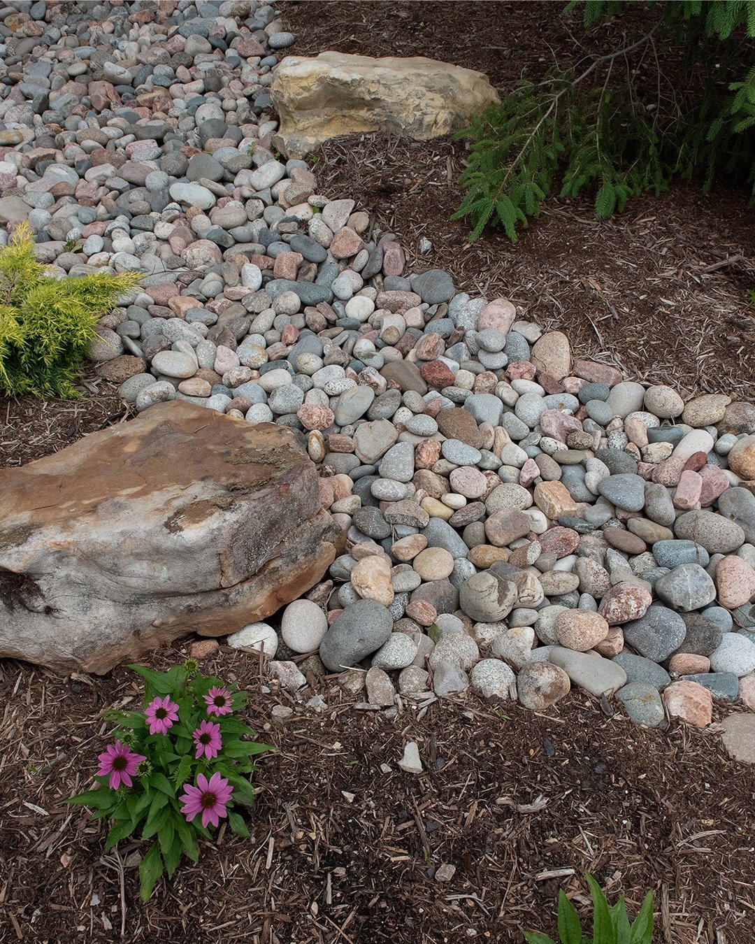 River rock can be used for a variety of reasons in your landscape including dry creek beds, erosion control, water features and borders around planting areas. Our Colorado River Rock has a beautiful range of color and is available in 2 &ndash; 4&rdqu
