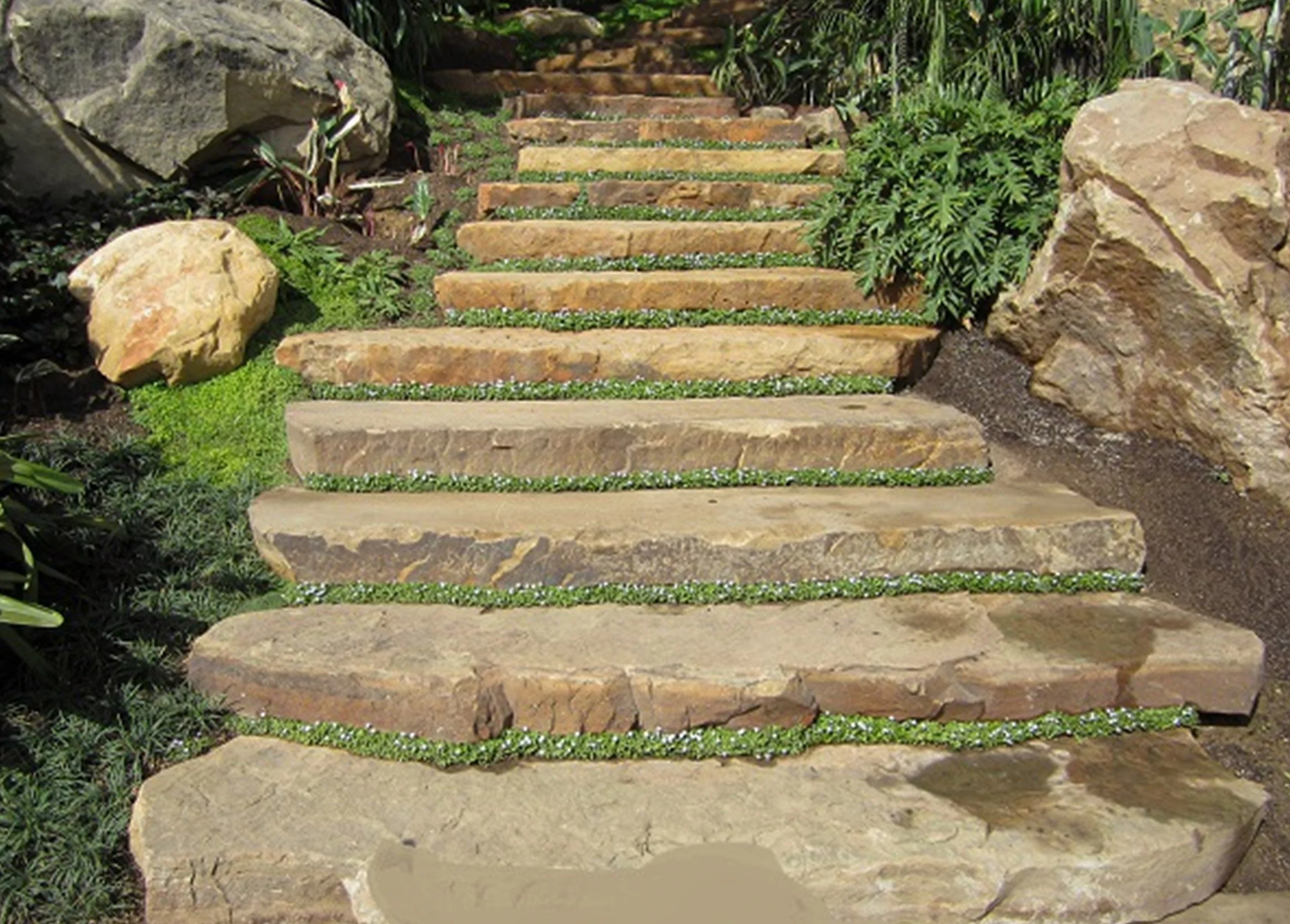 Cameron Brown - Steps