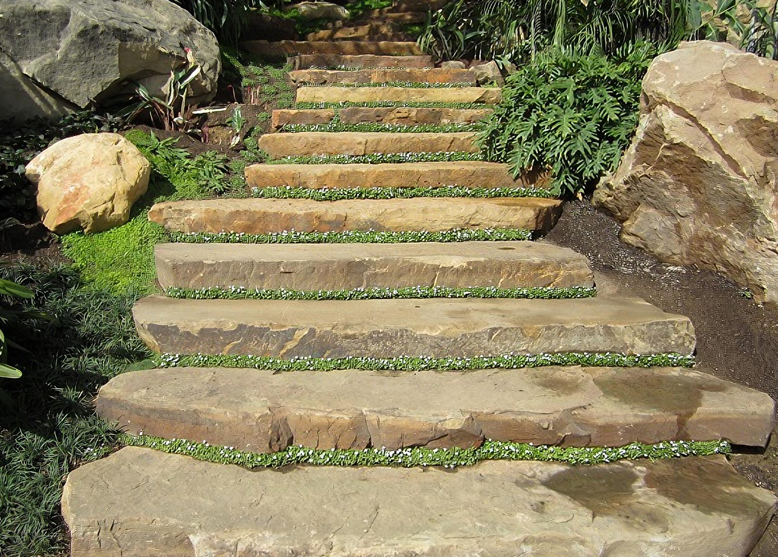 Cameron Brown - Steps