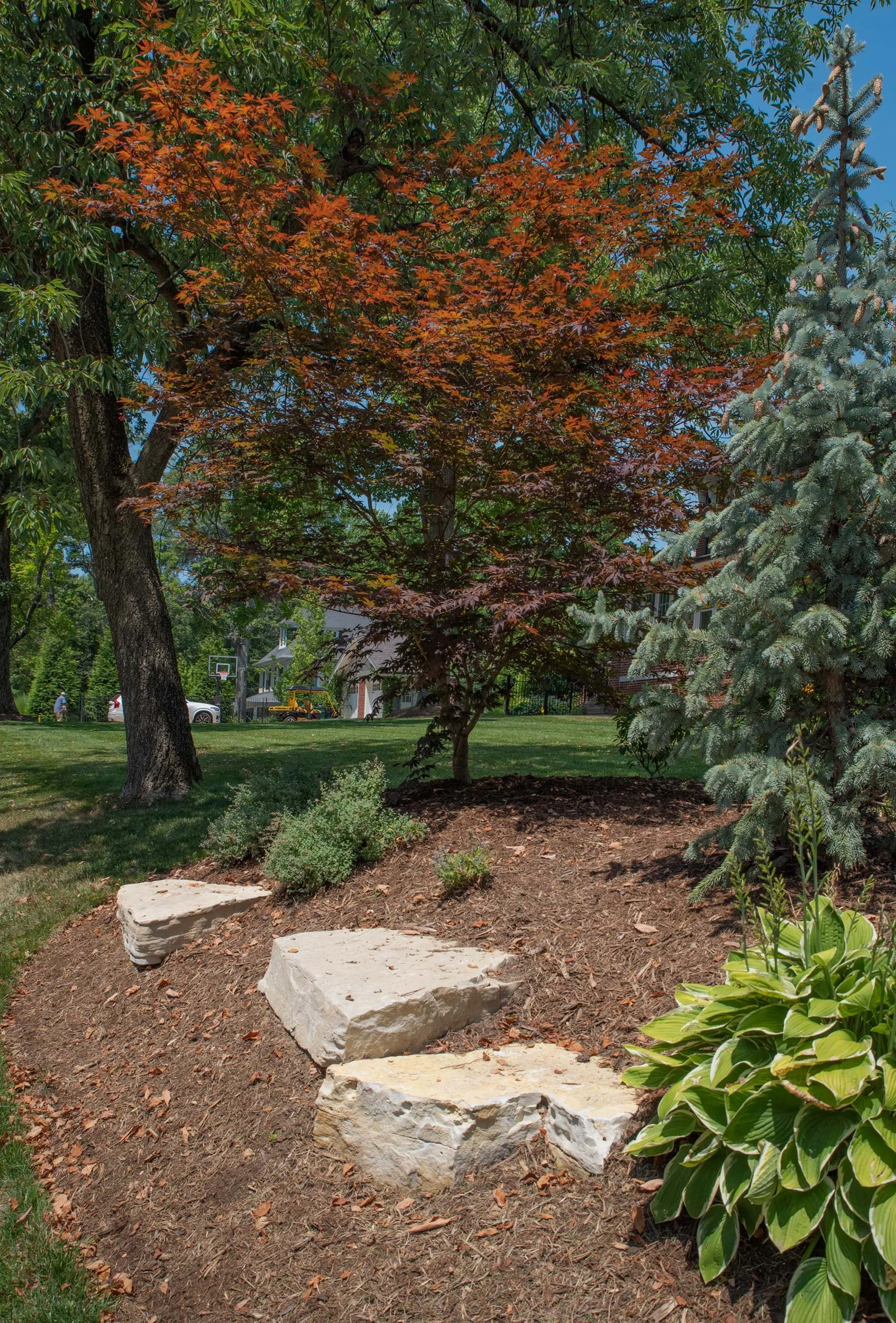 Mackinaw - Outcropping