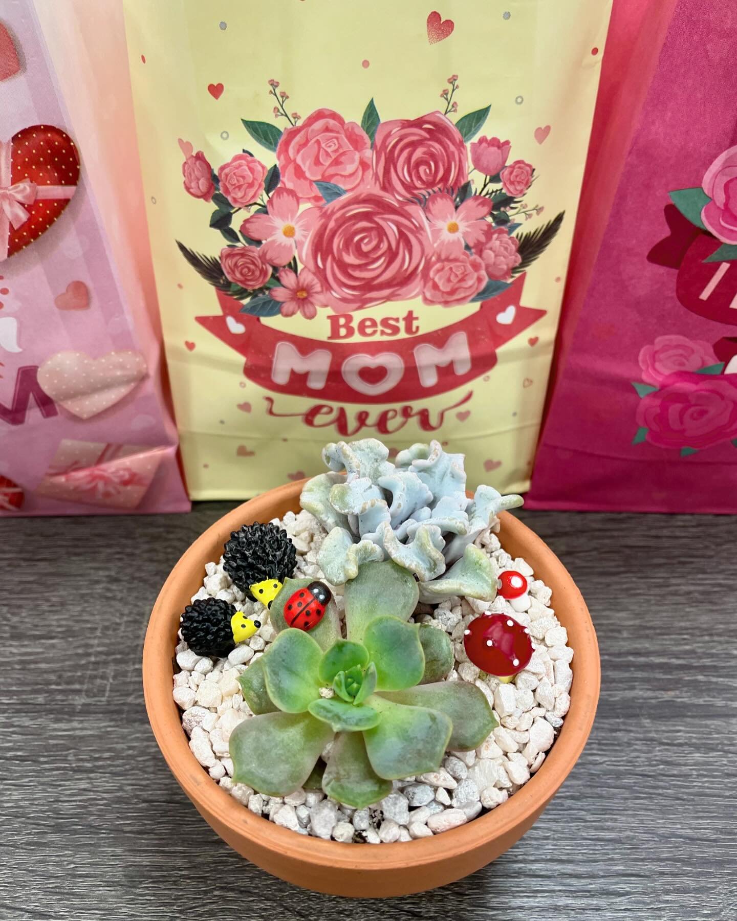 Need a present for Mother&rsquo;s Day❤️? 

Well, our diy succulent kits are back and would make the perfect present. Not only that, but we now have diy anthurium🌱 kits as well! Both kits are only $15 each. Come down and check it out! 

Succulent kit