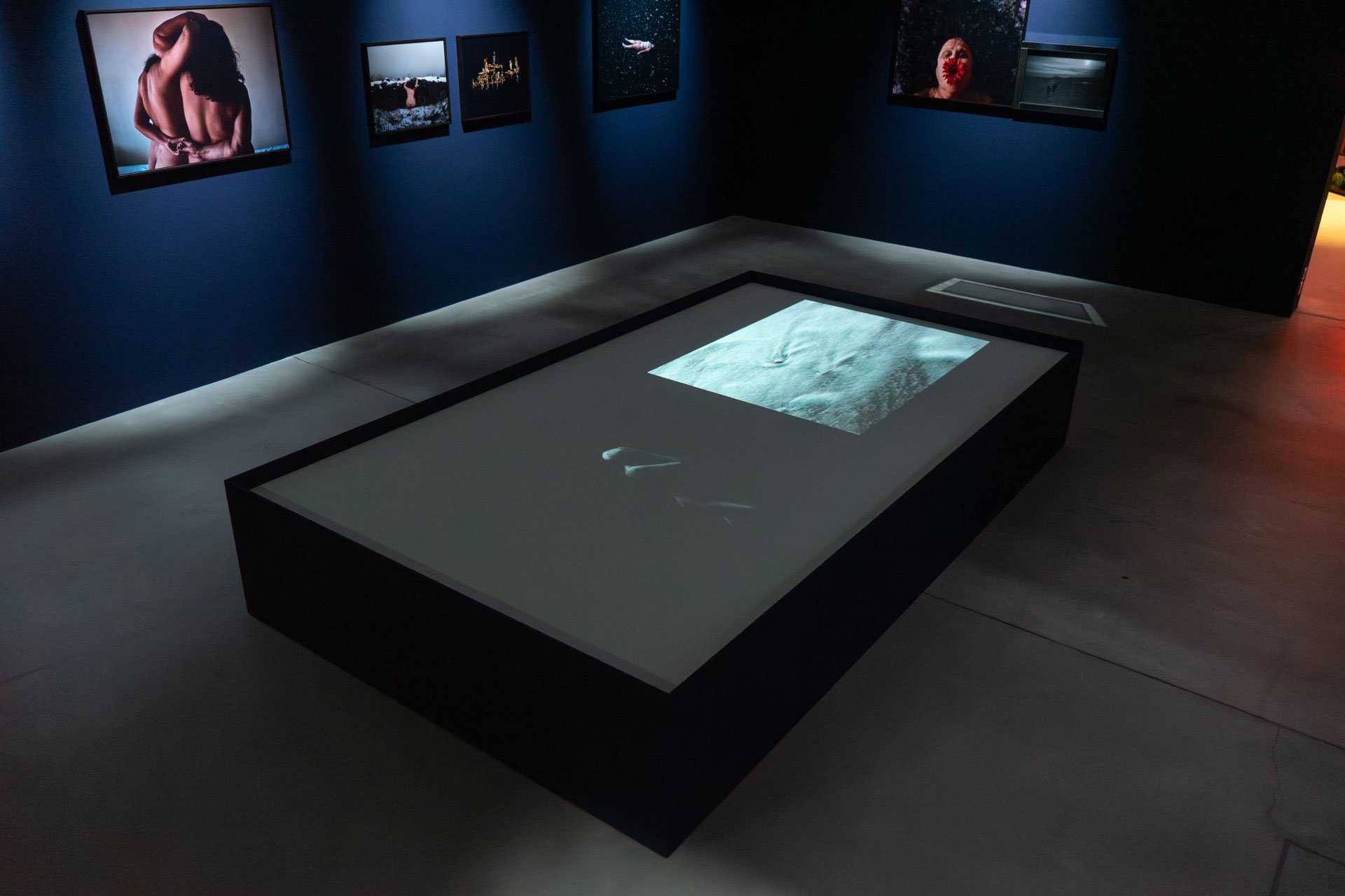 FMW26_Poulomi Basu_Fireflies_CM-5.jpg