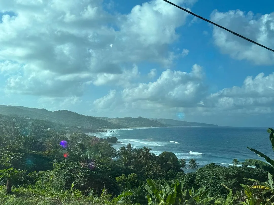 1-2024 - Ocean Overlook from Mountain with Rommel.jpg