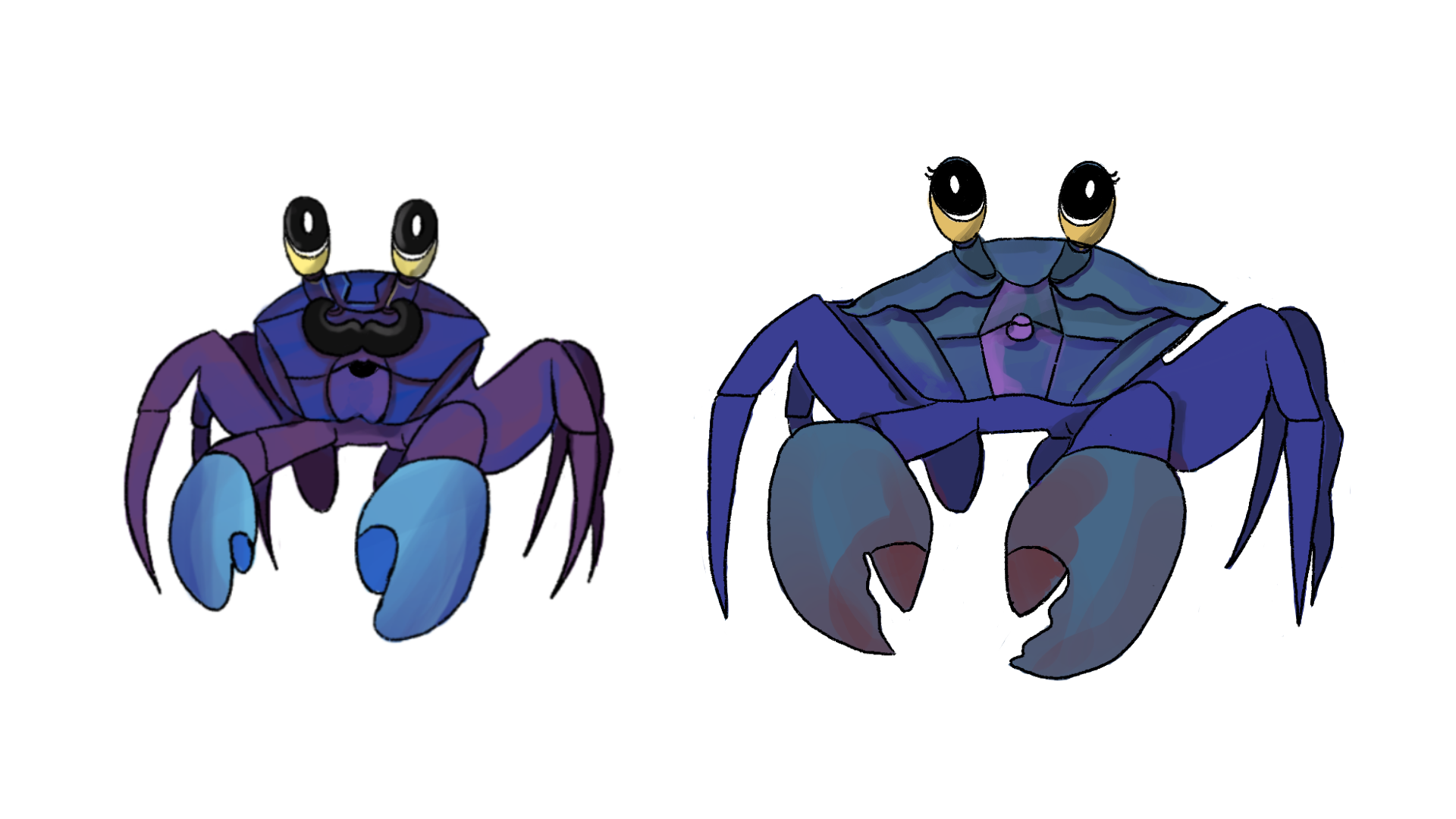IMG_3571.png