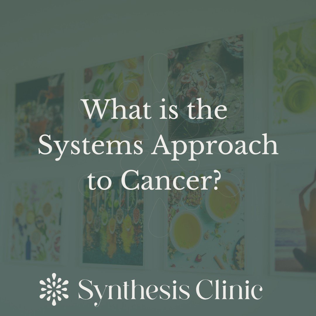 What is the Systems Approach to Cancer? 🌟

Developed by our director and award-winning integrative doctor, Dr. Nina Fuller-Shavel, the Systems Approach to Cancer programme combines years of study and clinical experience in integrative and functional