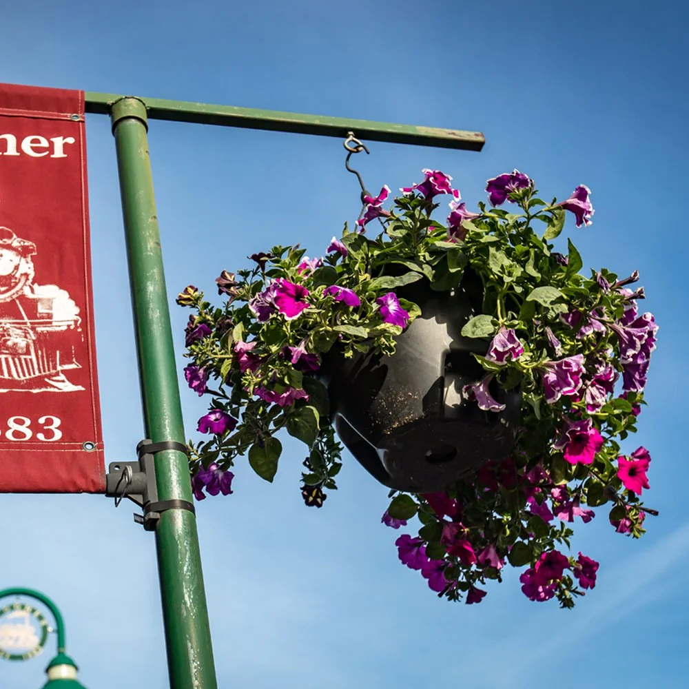Flower basket of flowers in downtown Spooner