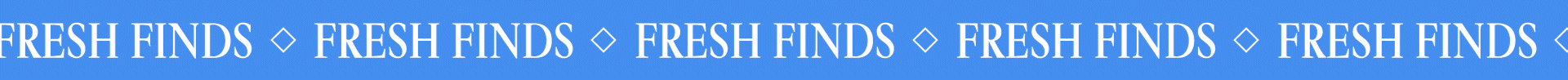 n13_fiat-lux_07_1920x100_20220105.gif