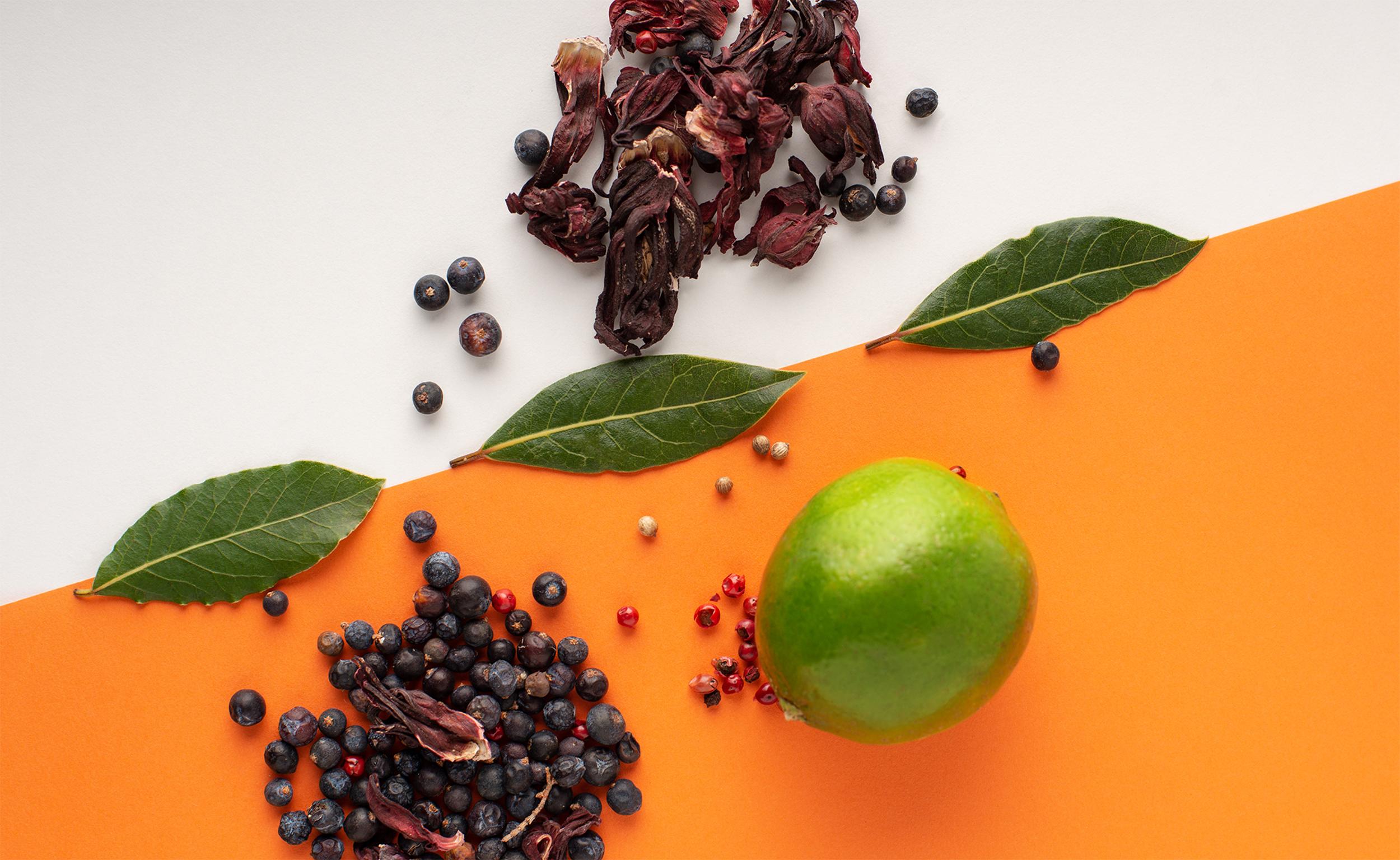 n13_sipsong-spirits_07_1920x1180_20220105.png