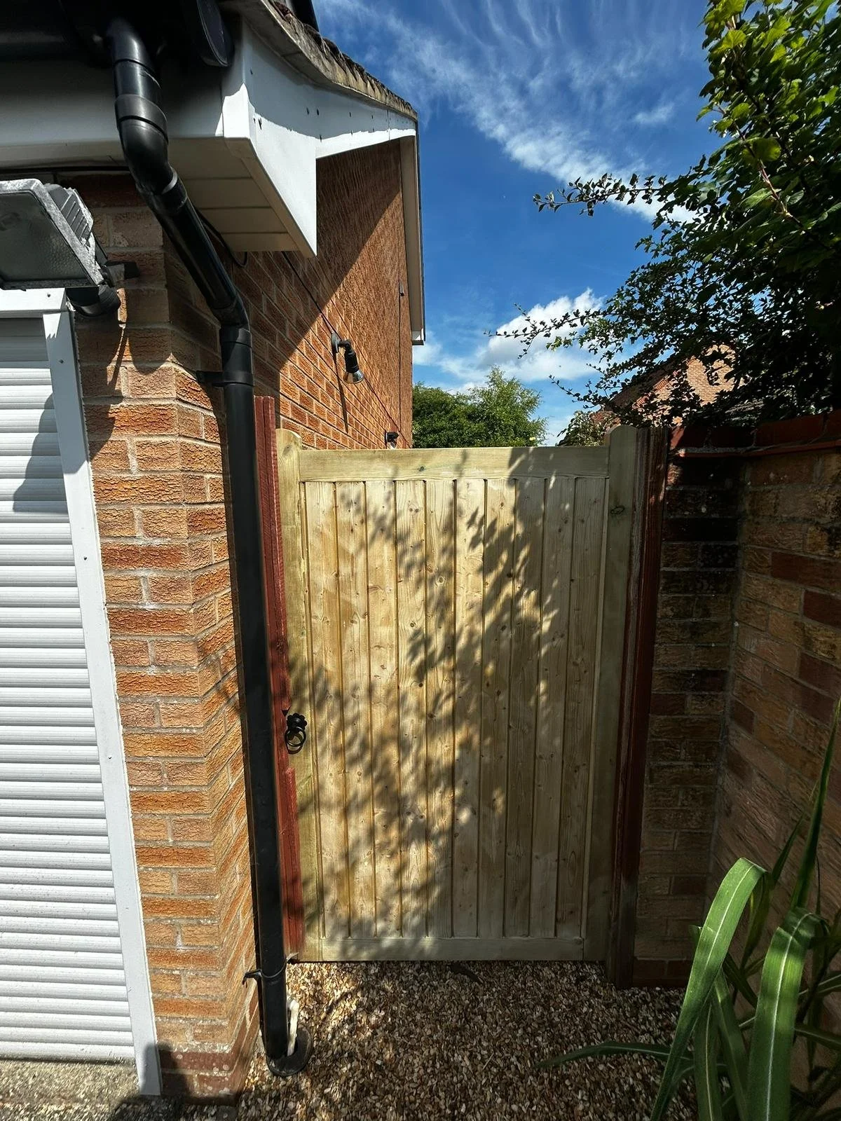 WhatsApp Image 2026-01-29 at 11.28.00 AM.jpeg