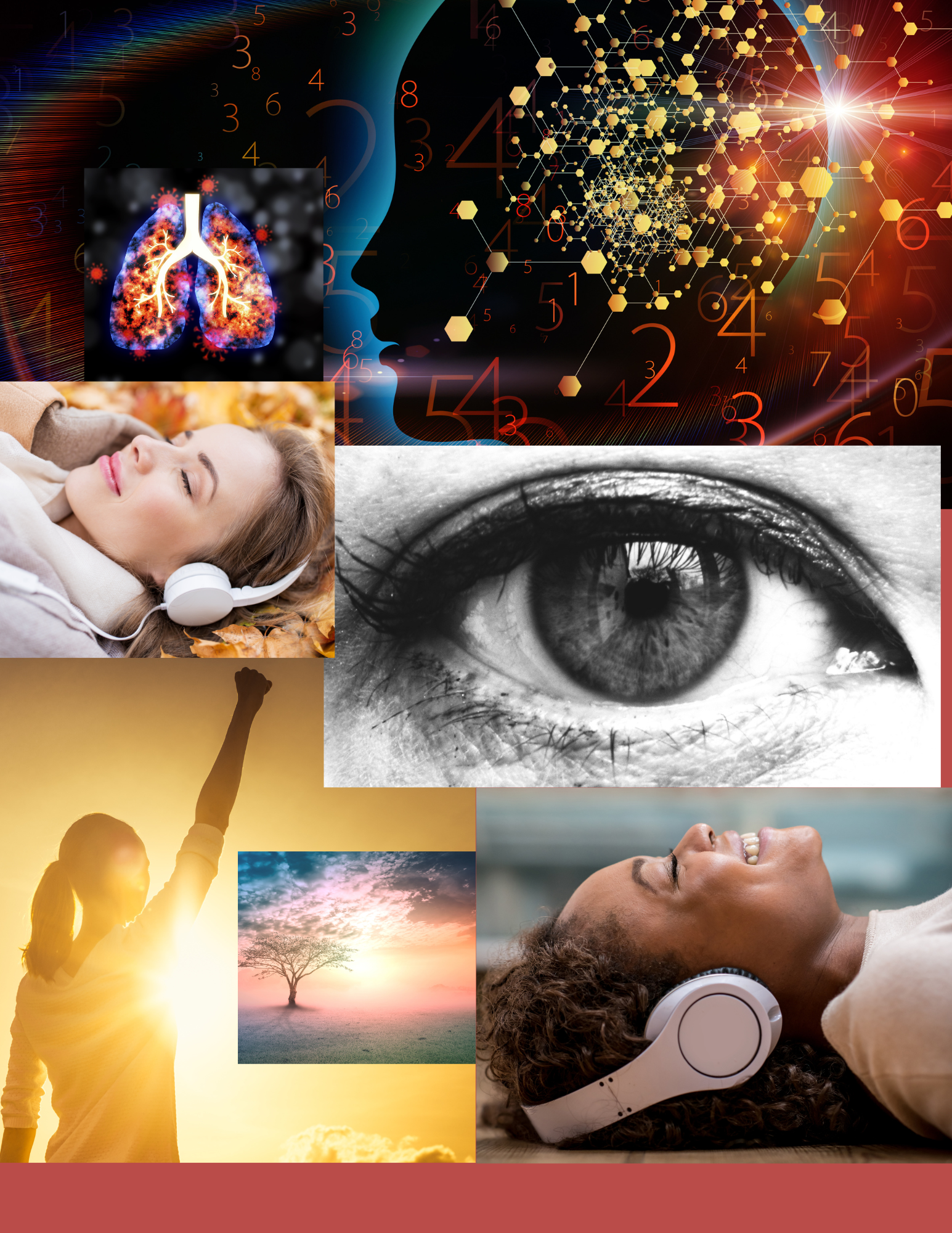 pic4website.png