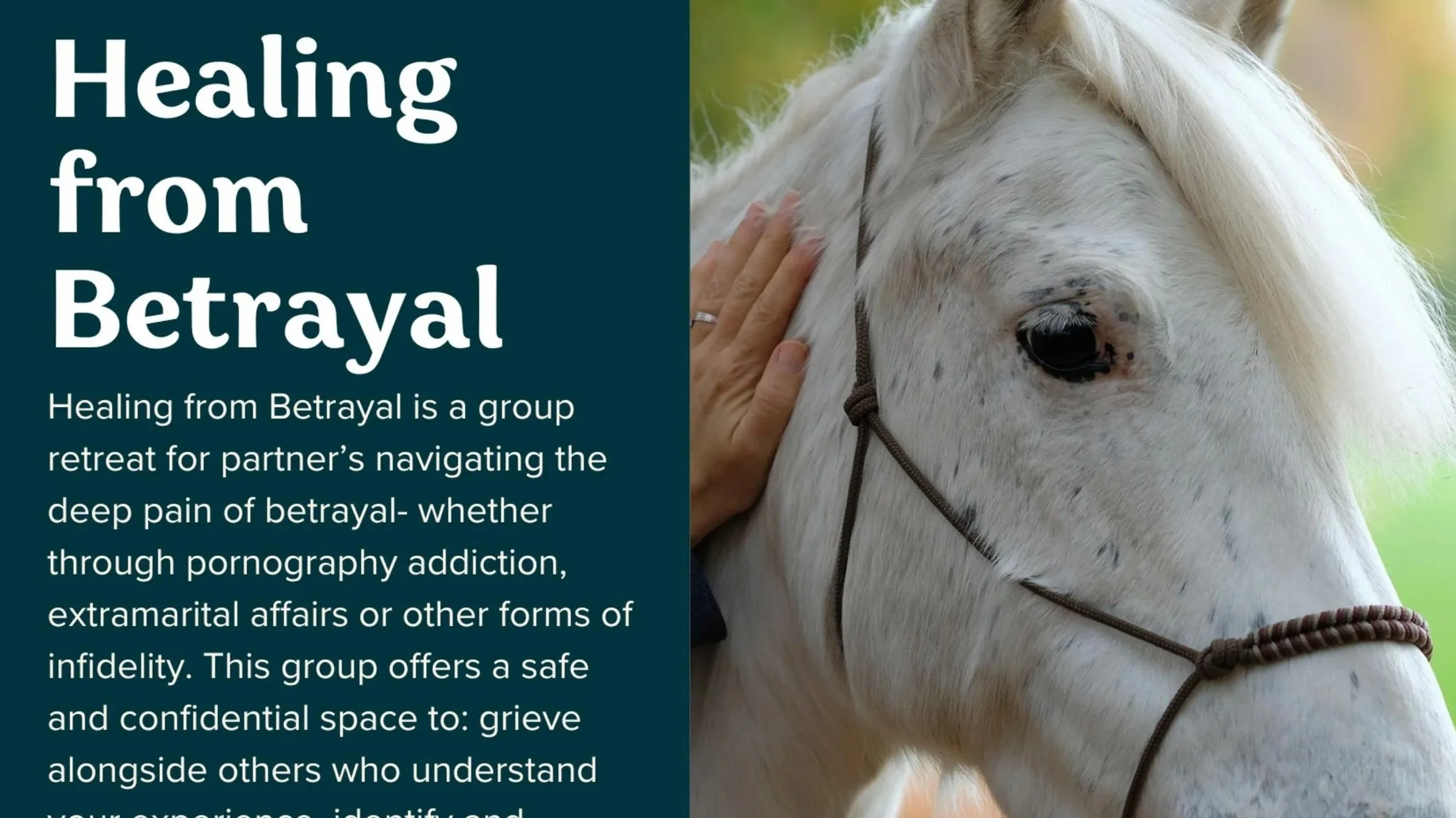 Healing from Betrayal - Group Retreat