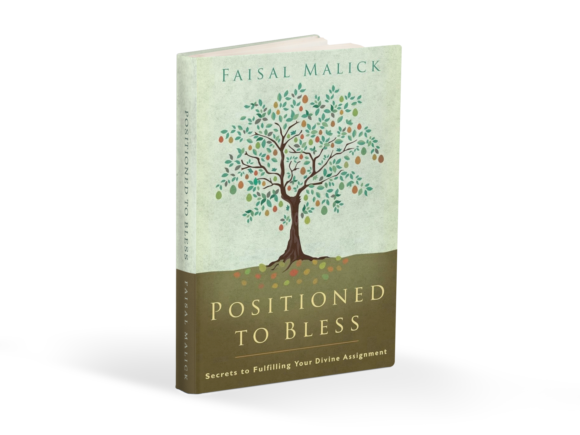 positioned to bless mock-up cover.png