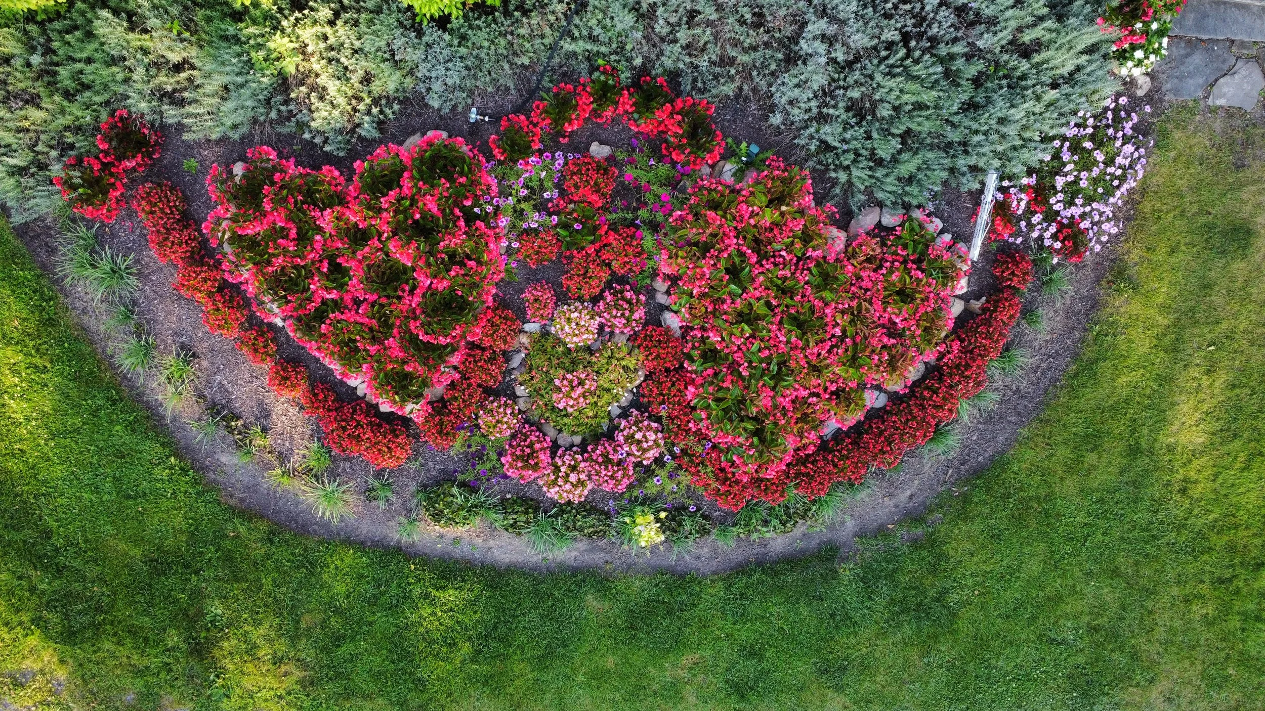 A Garden Wedding At The Morgan Samuels&nbsp;