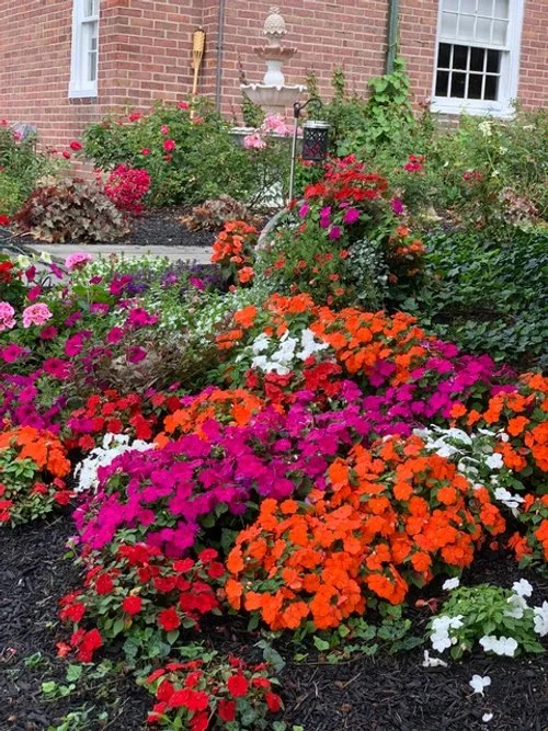 Flowers at the Inn