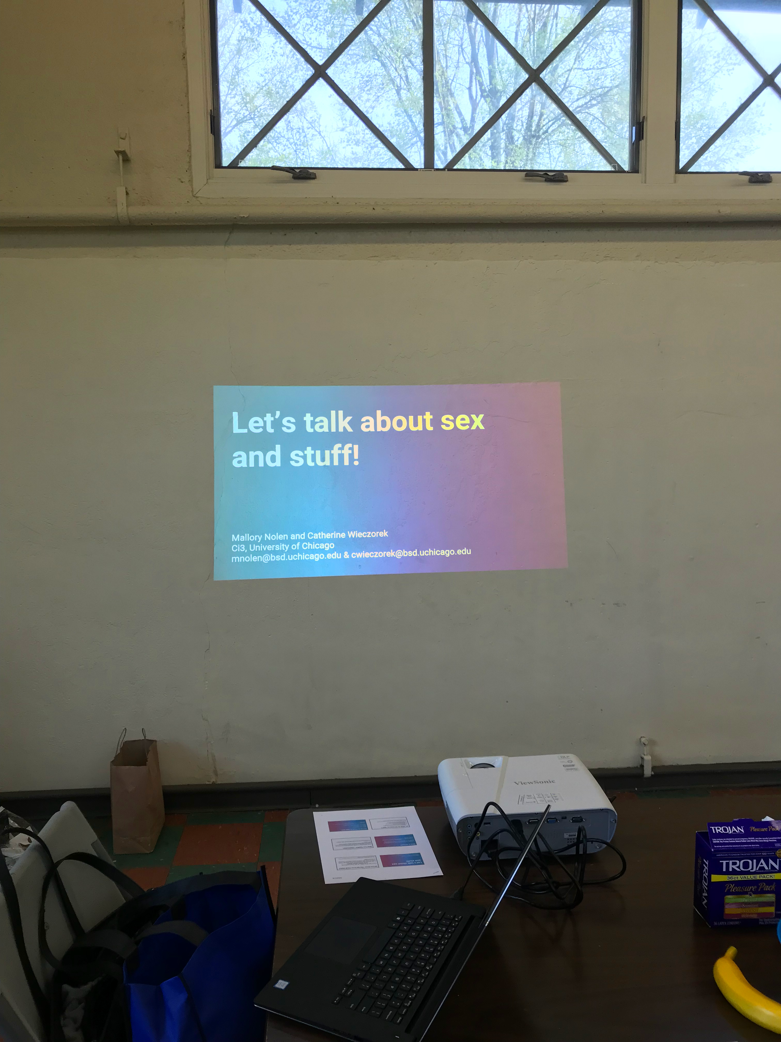 sexed.png