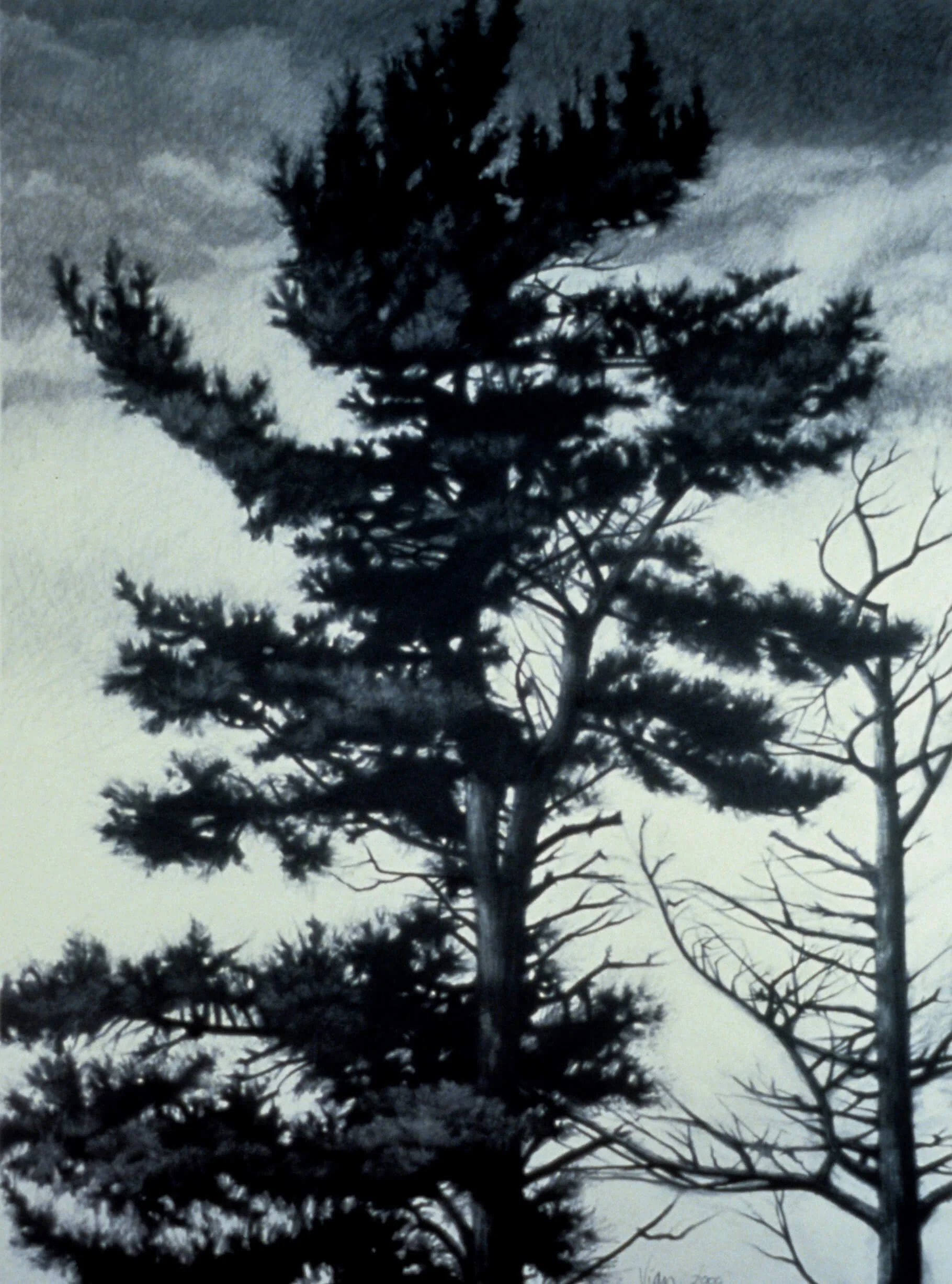 Reach, 2001, graphite on canvas, 53 x 41 inches