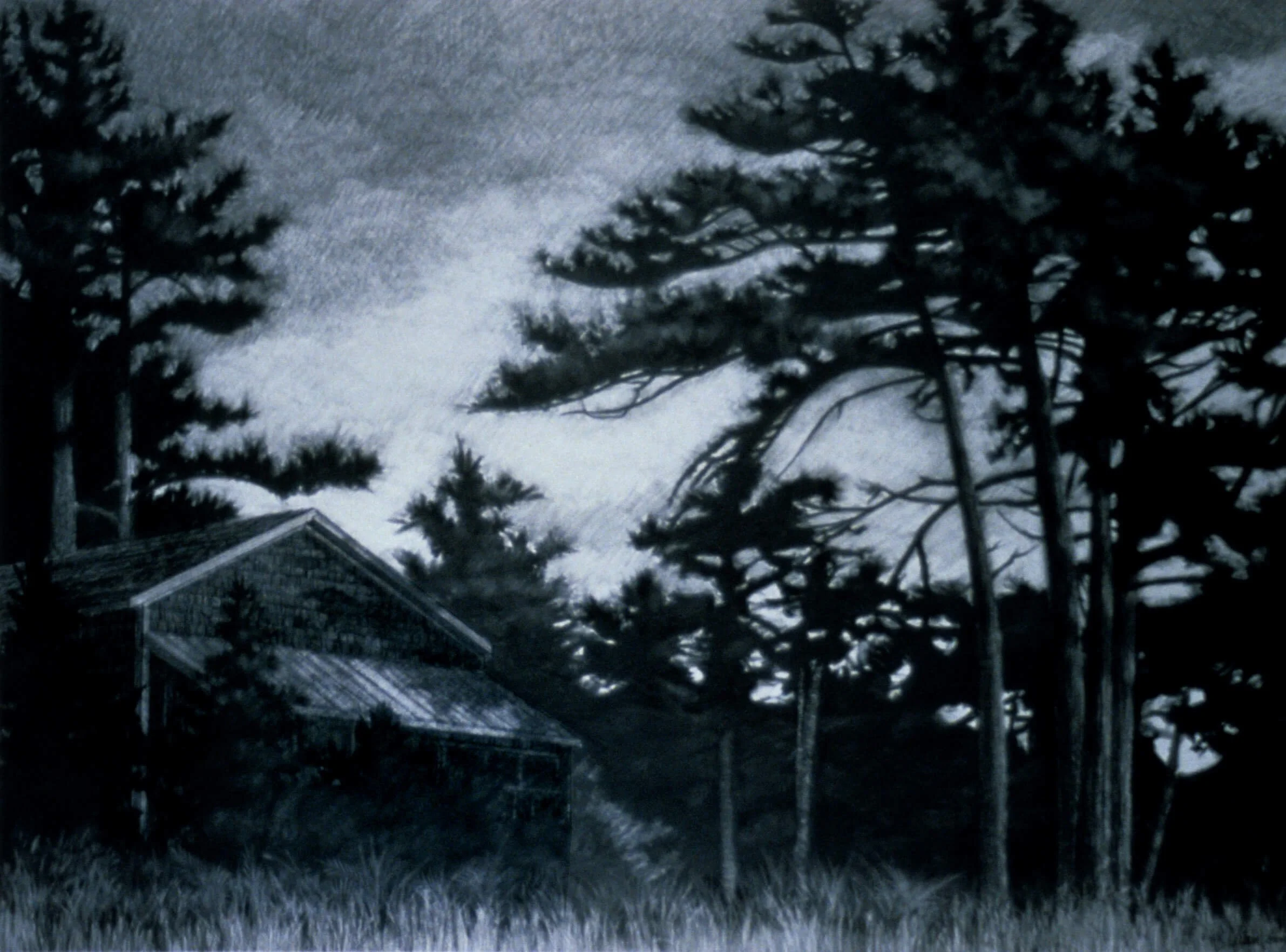 Overgrown, 2000, graphite on paper, 41 x 53 inches