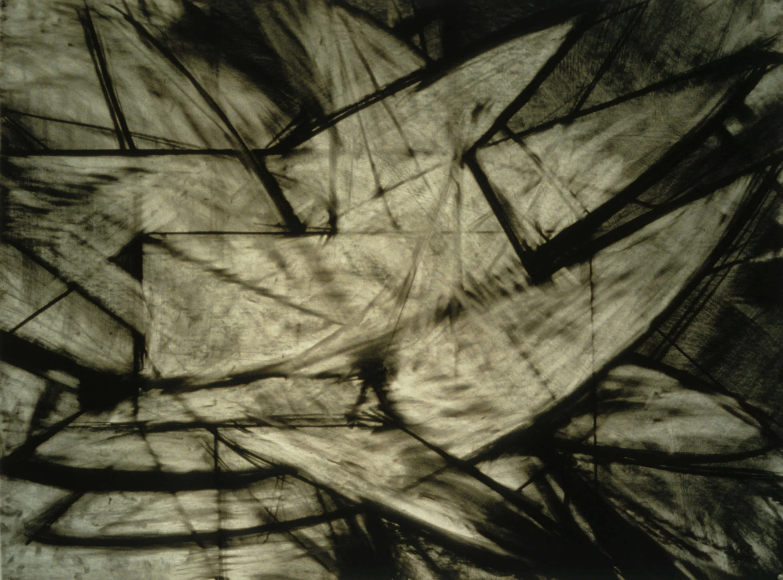 Yo Tango Mango Bango, 1998, charcoal on paper, 30 x 40 inches