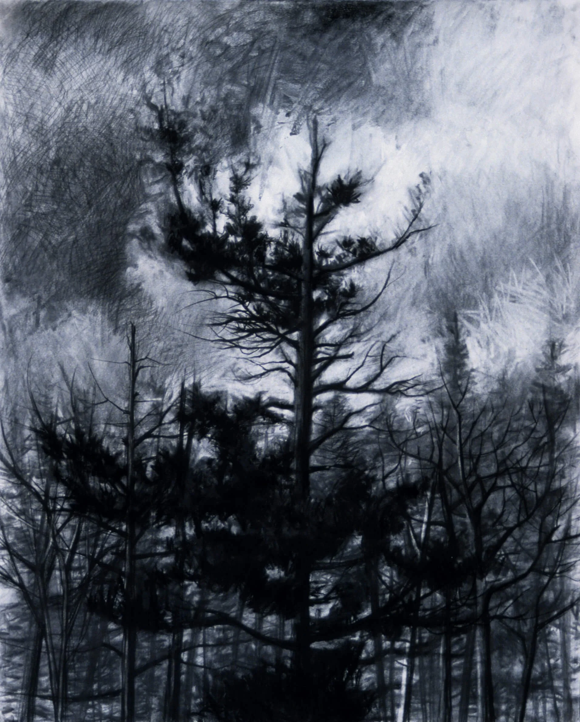 Advance, 2003, charcoal on paper, 36 x 42 inches