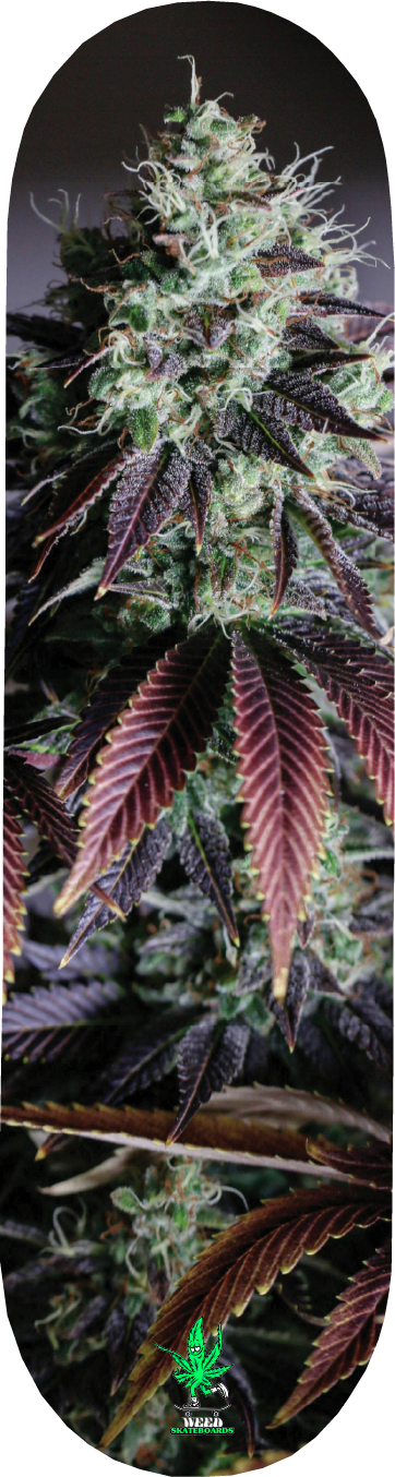 Weed Logo Final 2.png