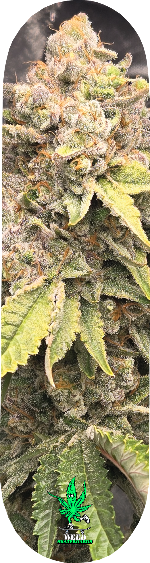 Cannabis Series 1.png