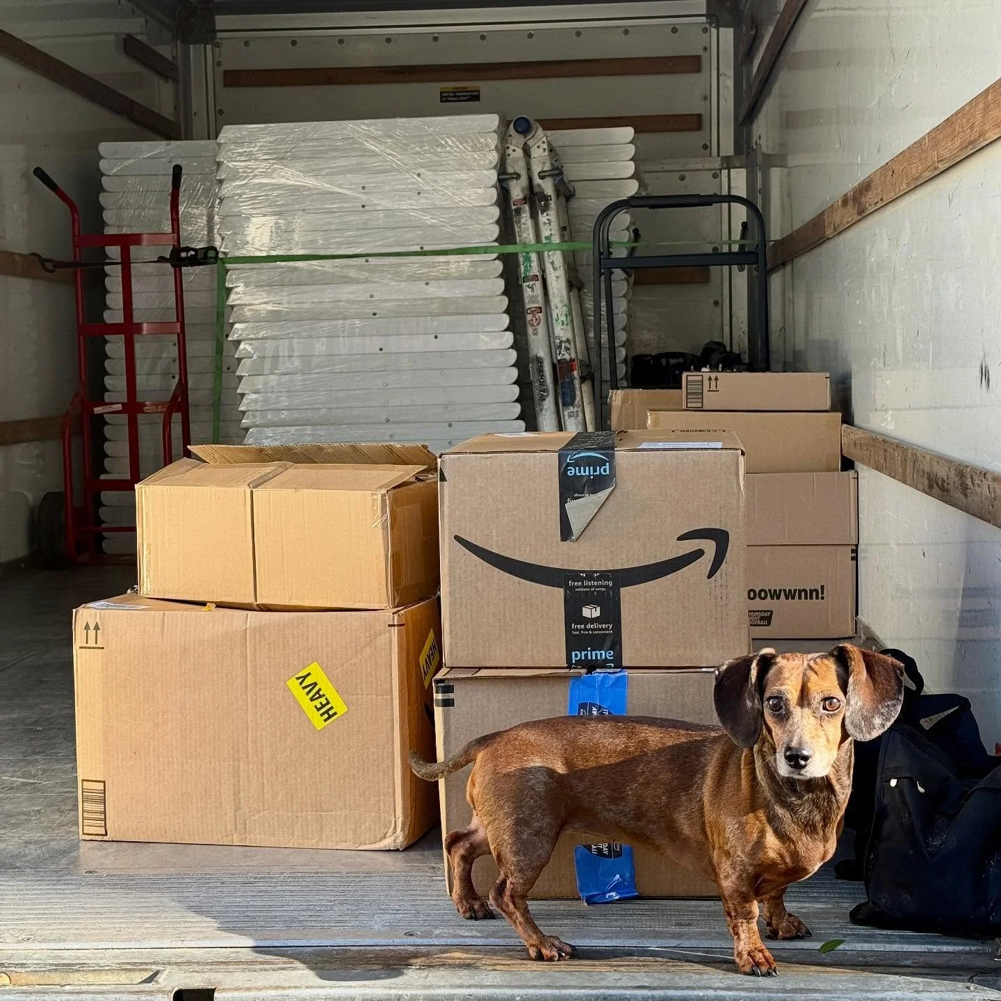 The boxes may be heavy, but Penny&rsquo;s workload? Heavier. 🐶💼 @curated_bywhitney tiniest team member, biggest helper.