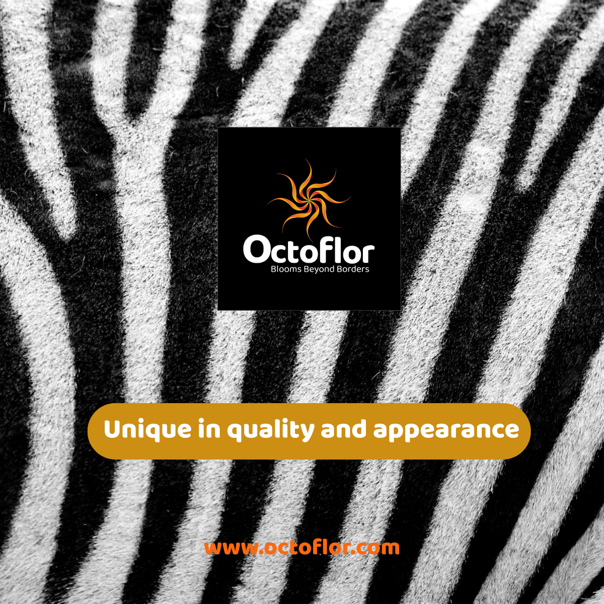 For professionals with an eye for quality.png