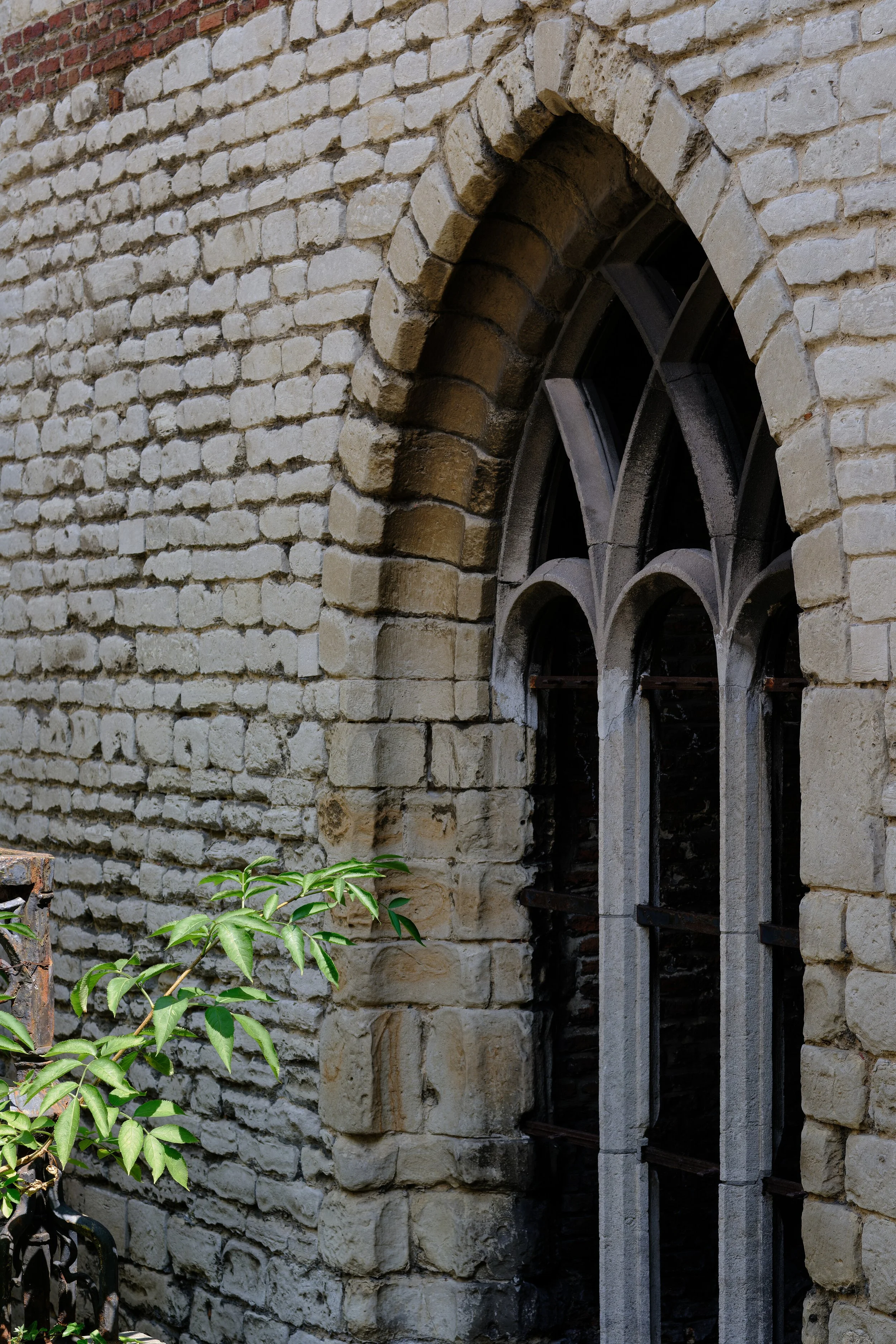 p29482.jpg