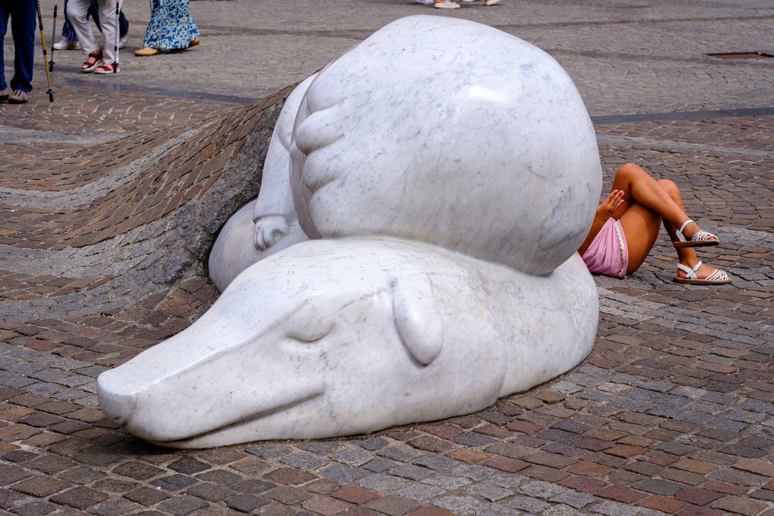 p28427.jpg