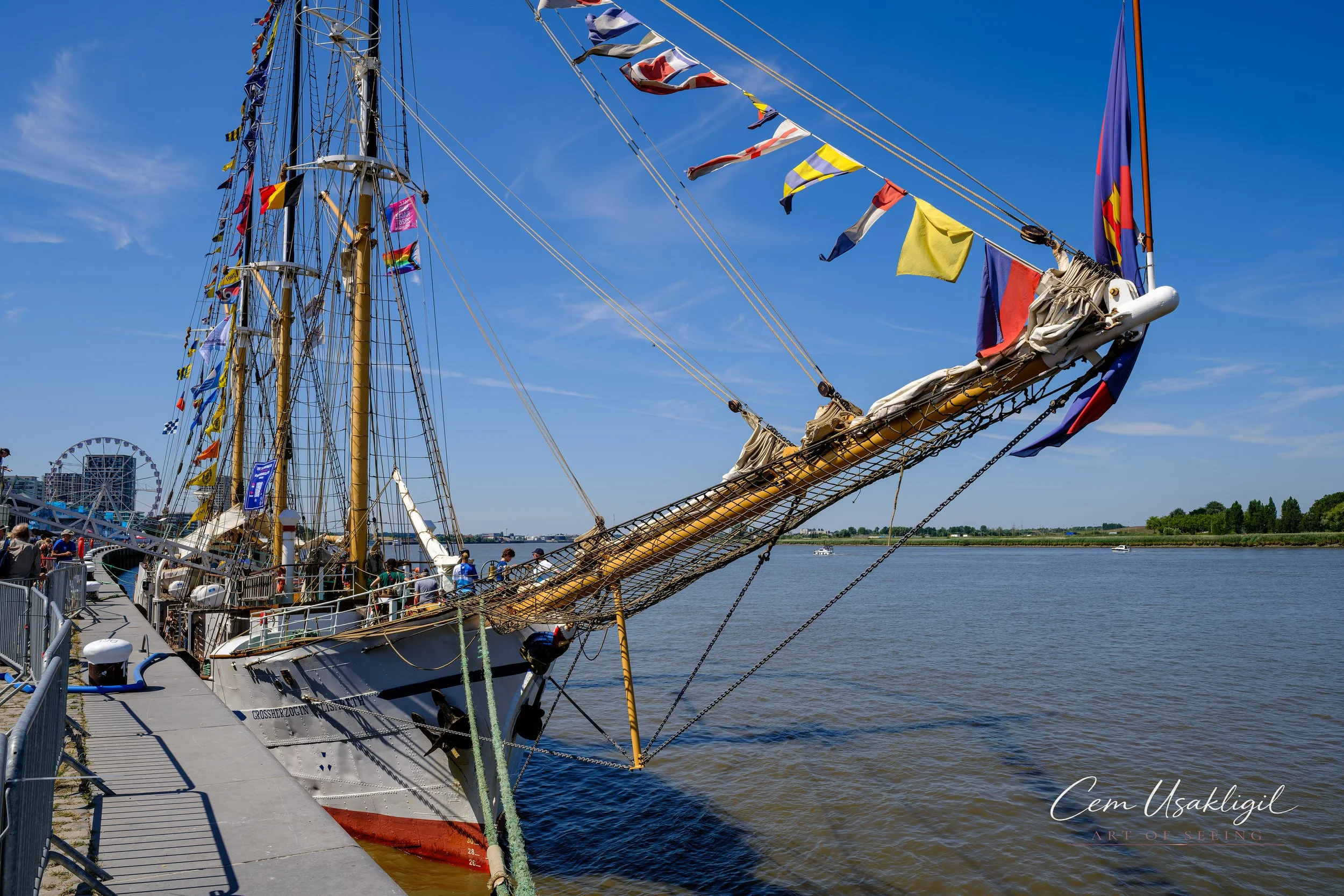p29313.jpg