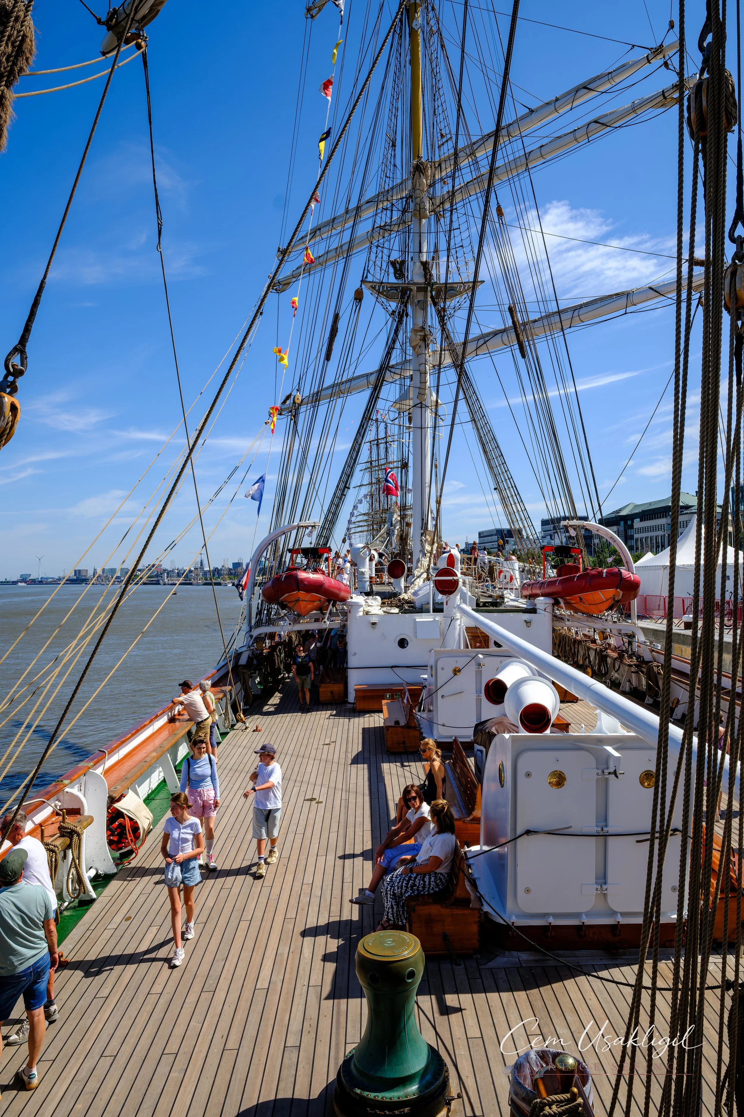 p29226.jpg