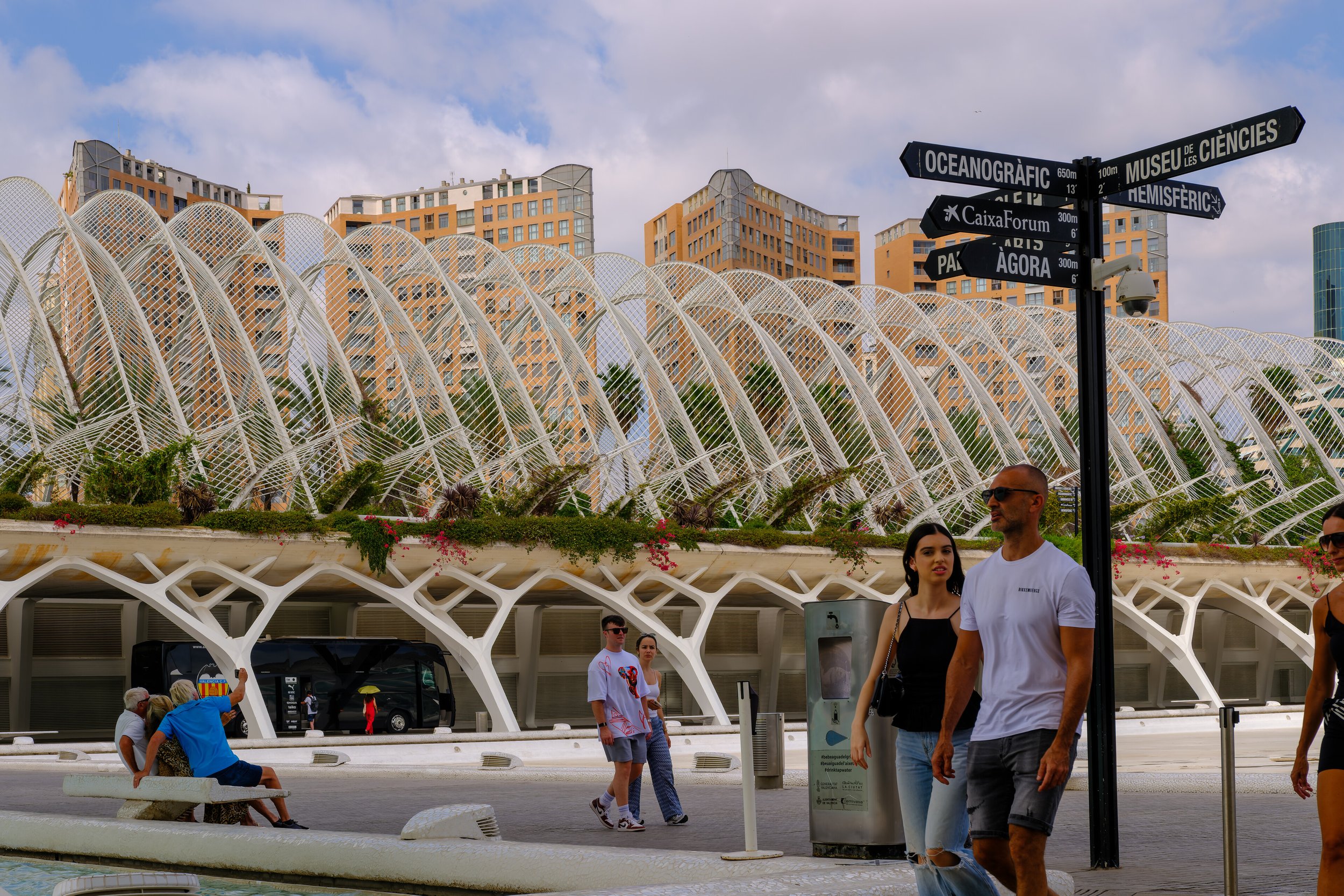 p28138.jpg