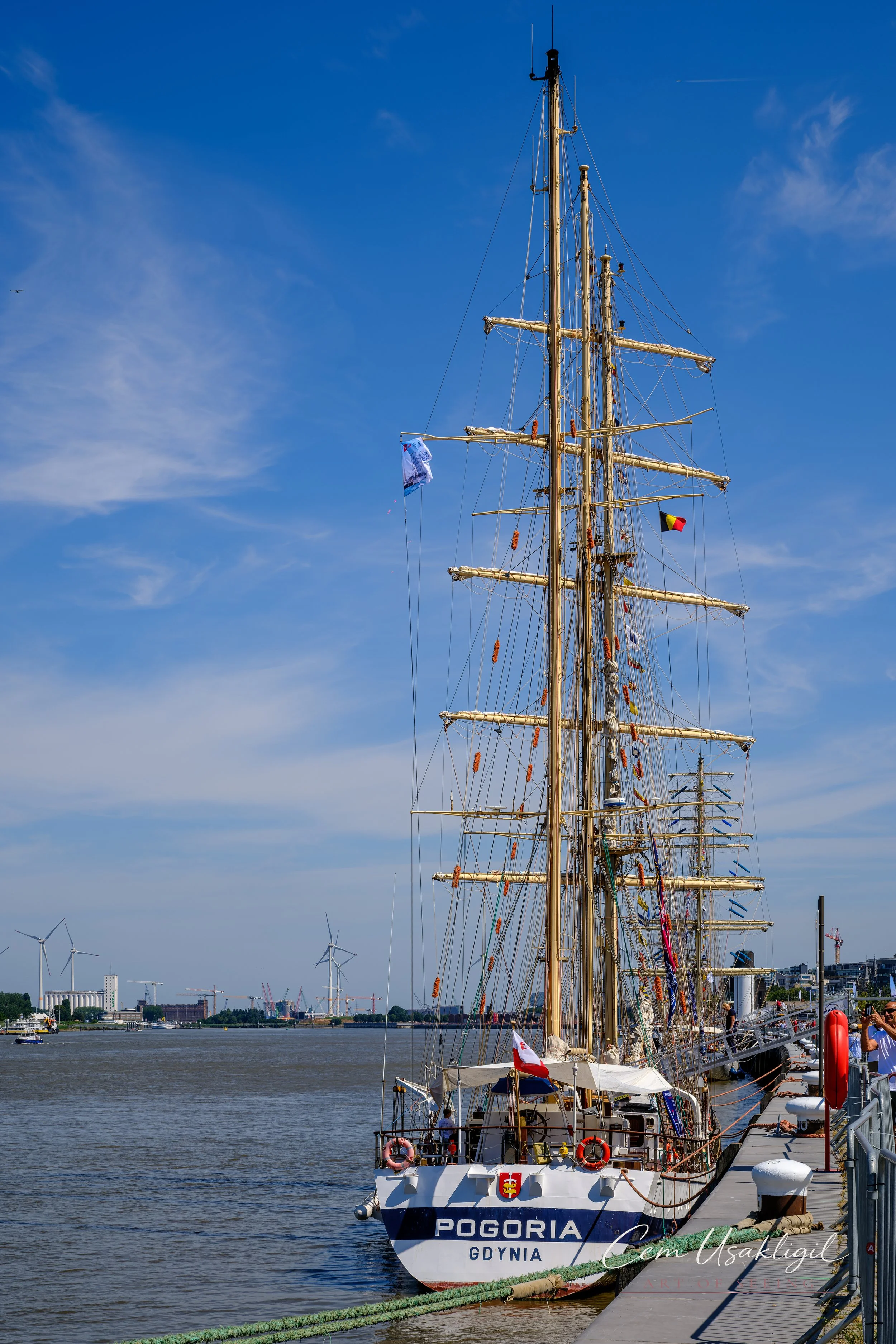 p29312.jpg