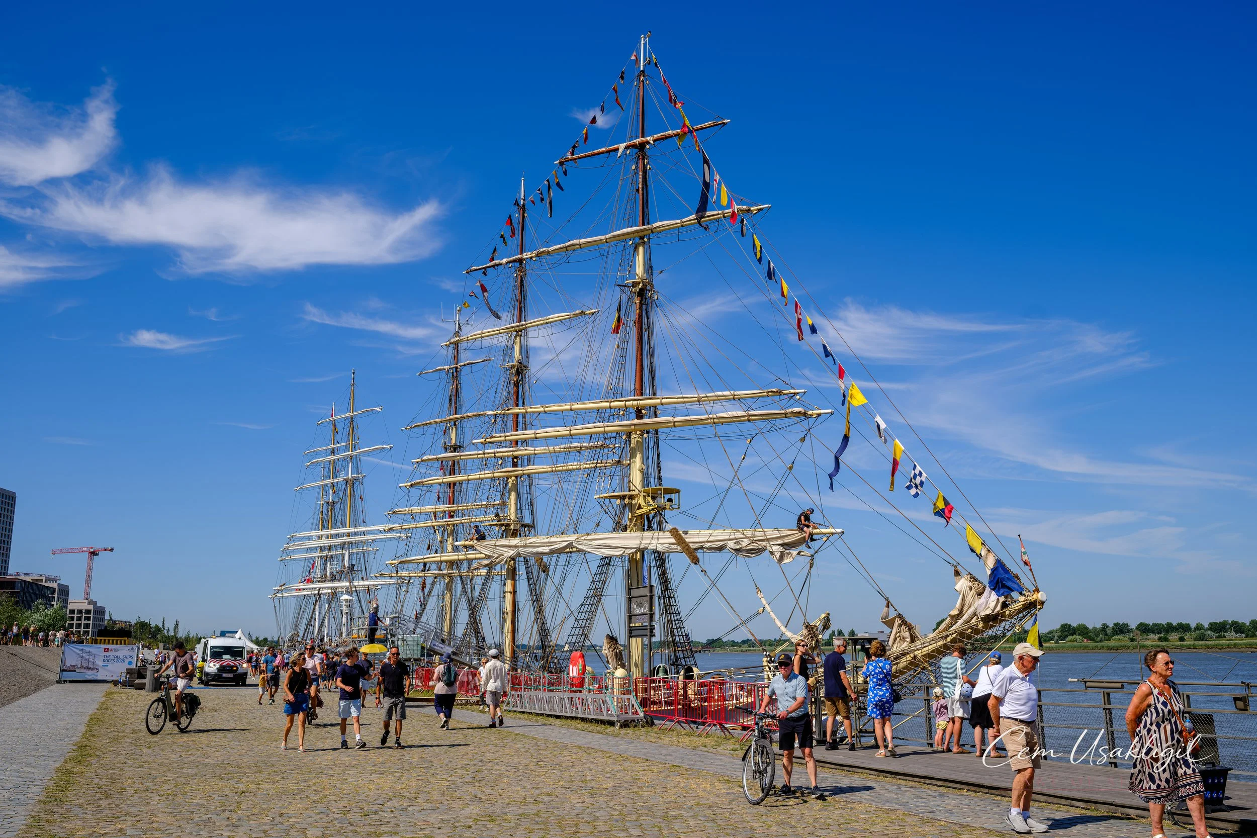 p29161.jpg